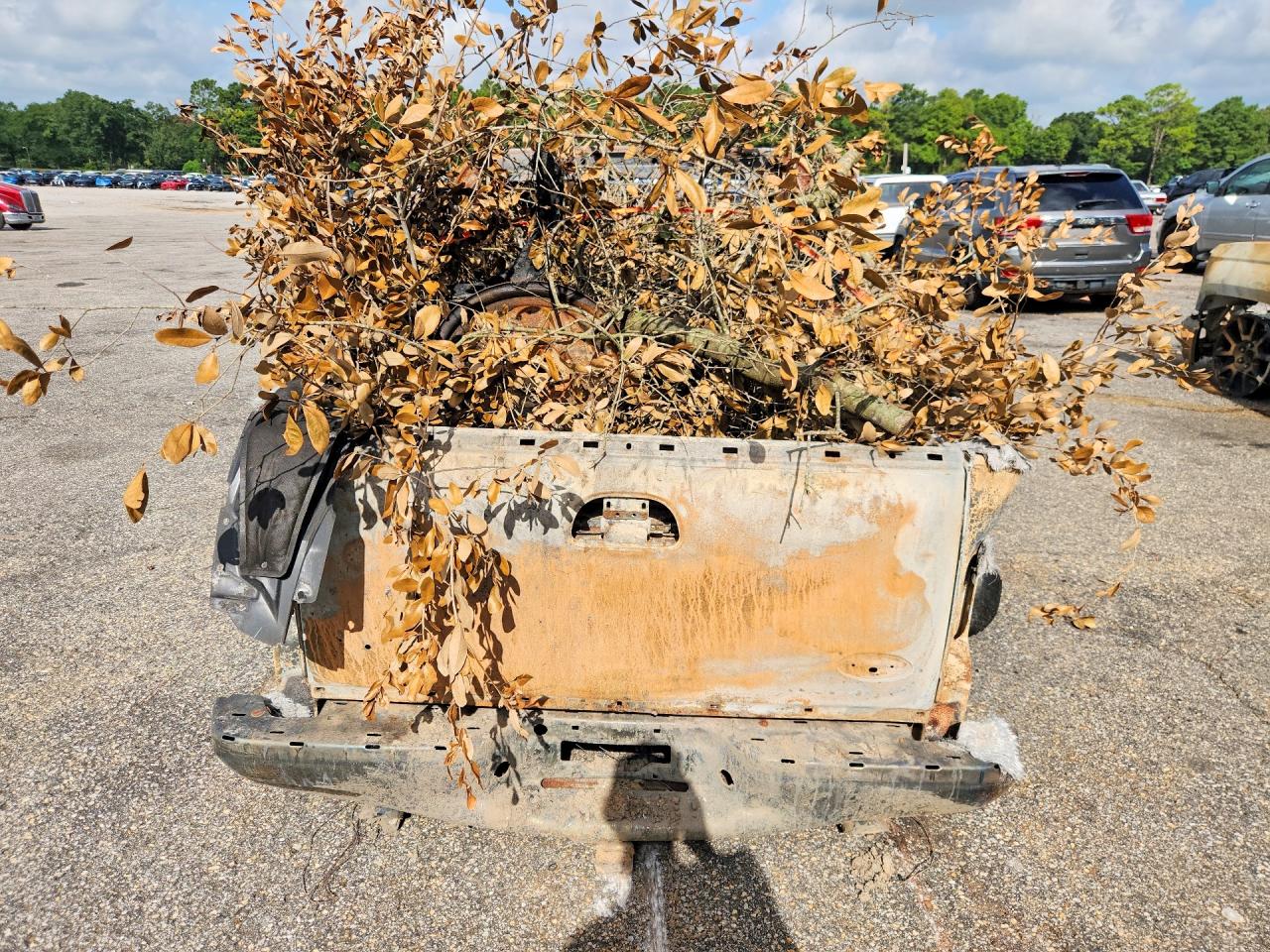 2001 Ford F150 Supercrew Burn vin: 1FTRW07LX1KF42587