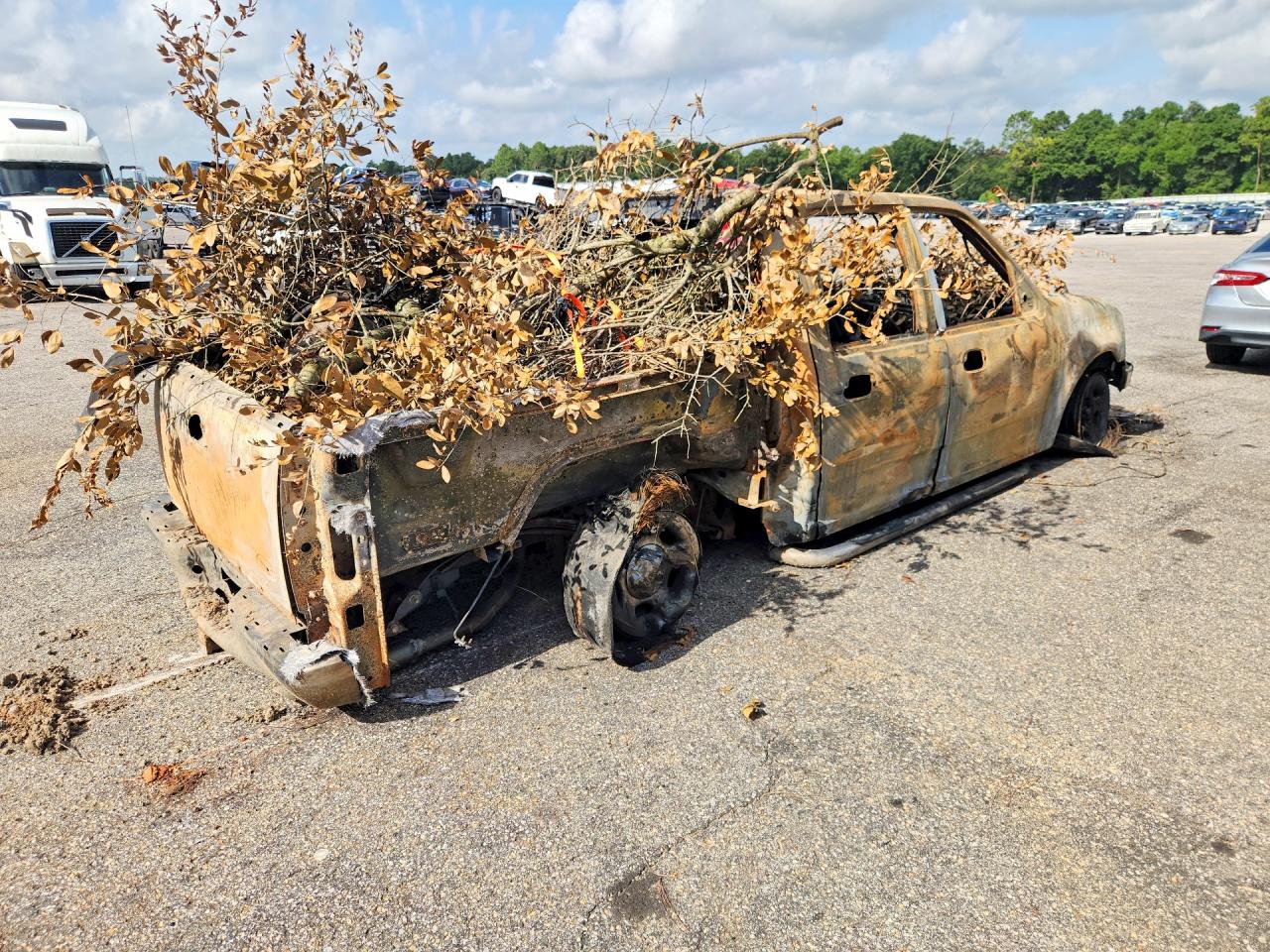2001 Ford F150 Supercrew Burn vin: 1FTRW07LX1KF42587