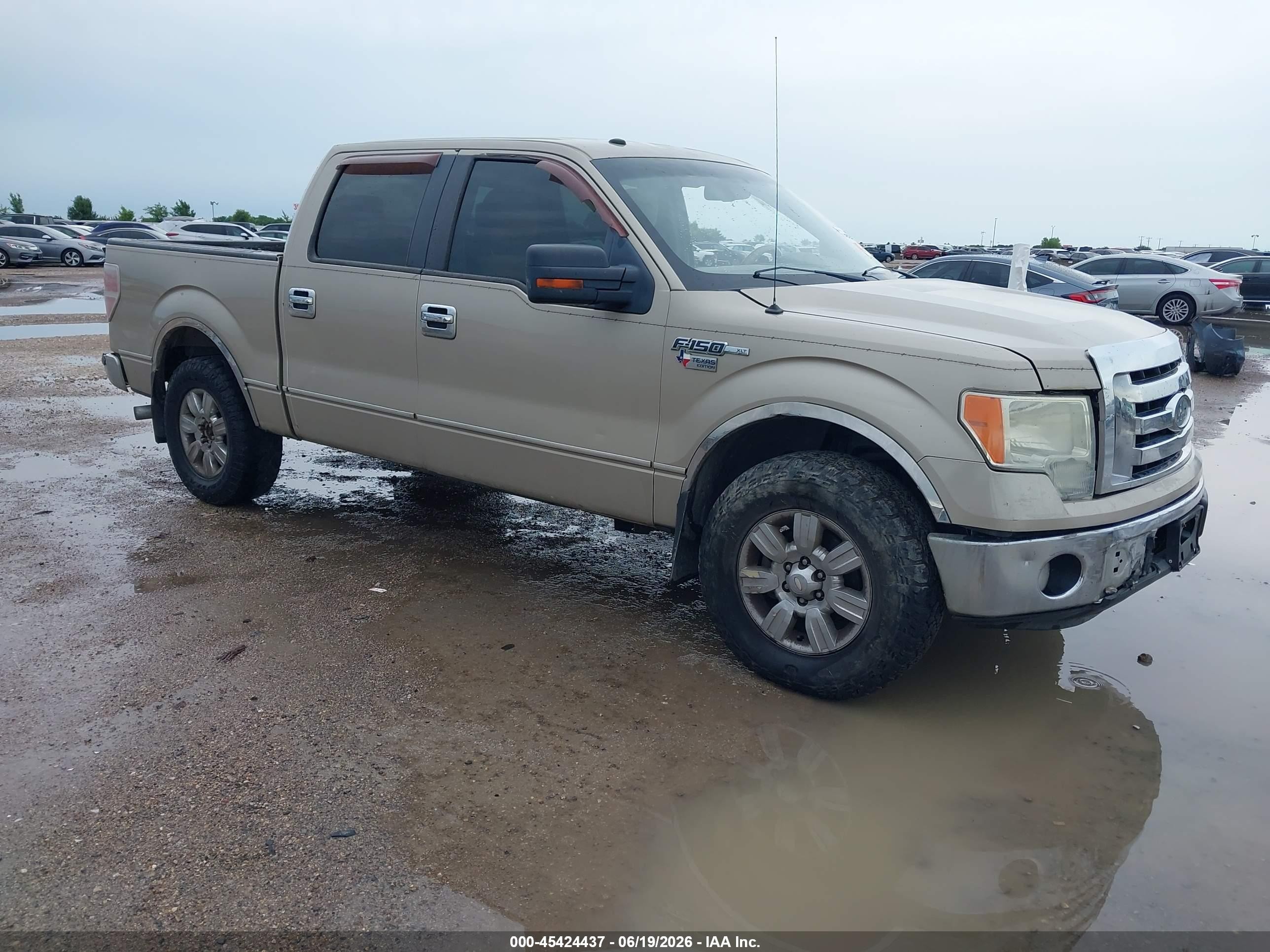 2009 Ford F-150 Xl/xlt Beige vin: 1FTRW12809FA12061