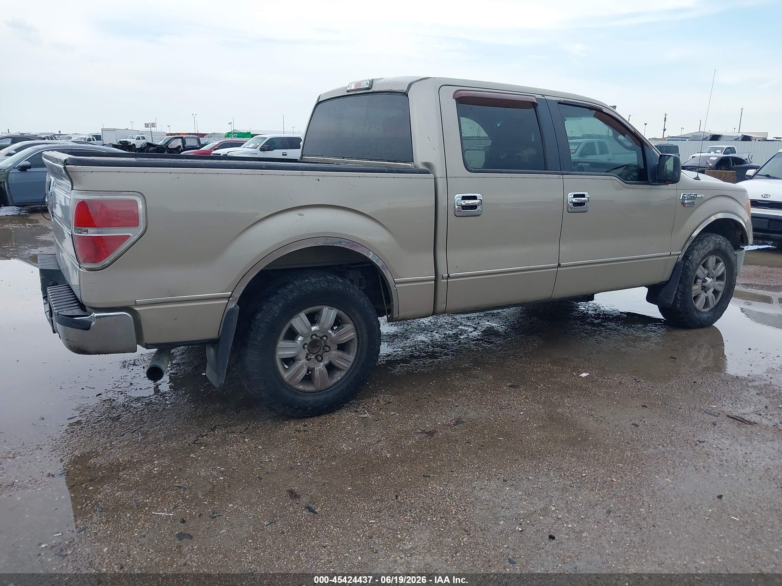 2009 Ford F-150 Xl/xlt Beige vin: 1FTRW12809FA12061