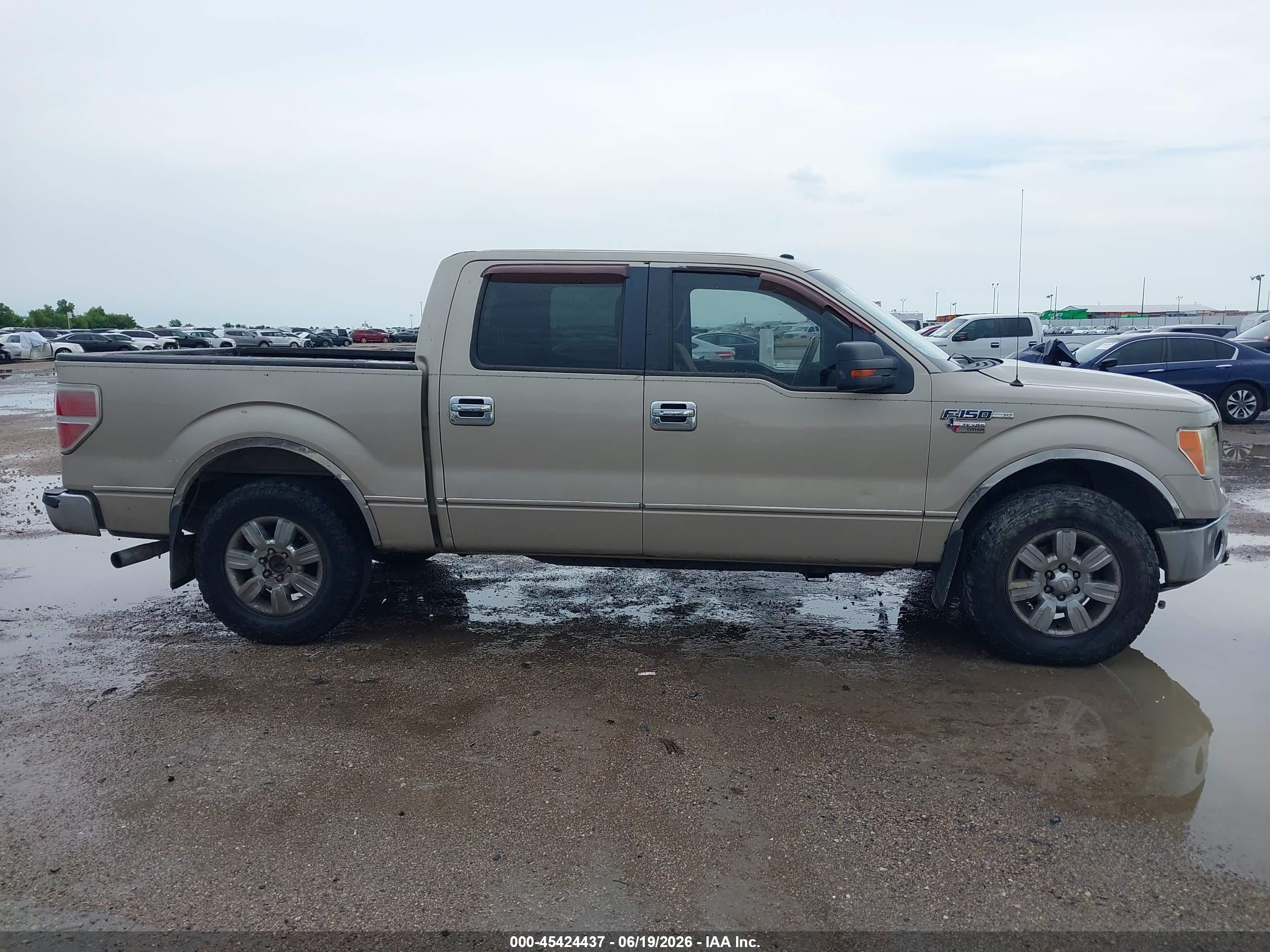 2009 Ford F-150 Xl/xlt Beige vin: 1FTRW12809FA12061