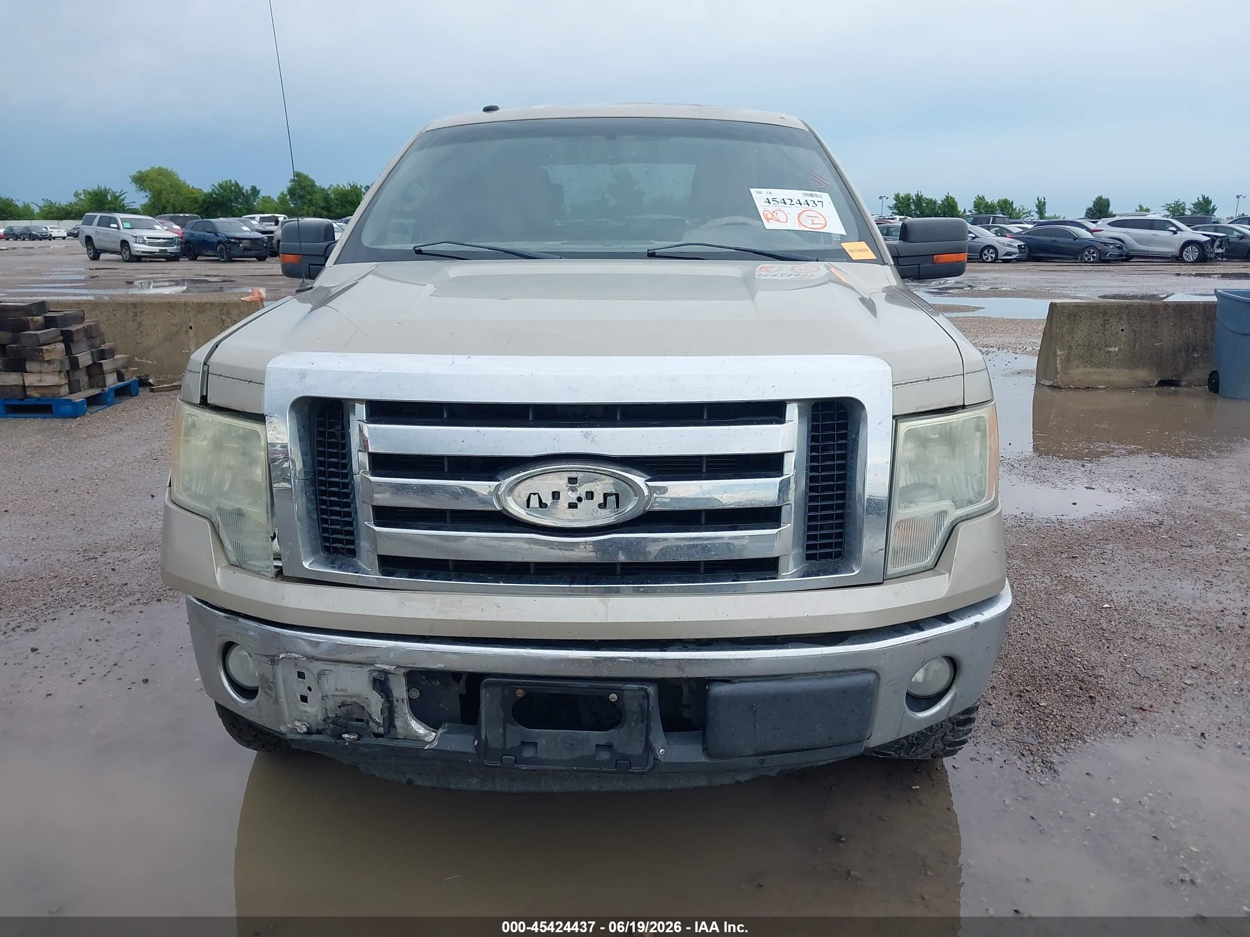 2009 Ford F-150 Xl/xlt Beige vin: 1FTRW12809FA12061