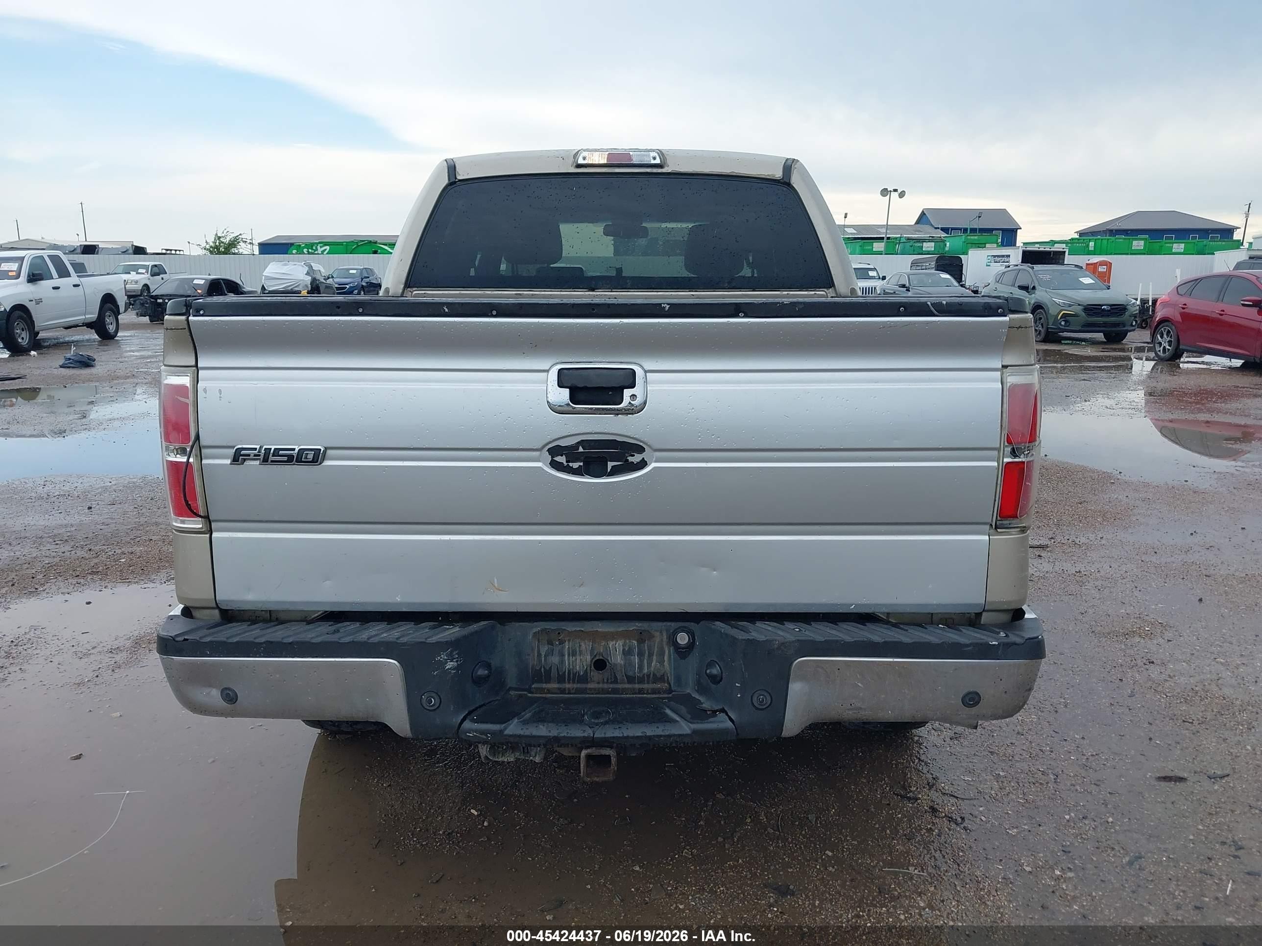2009 Ford F-150 Xl/xlt Beige vin: 1FTRW12809FA12061