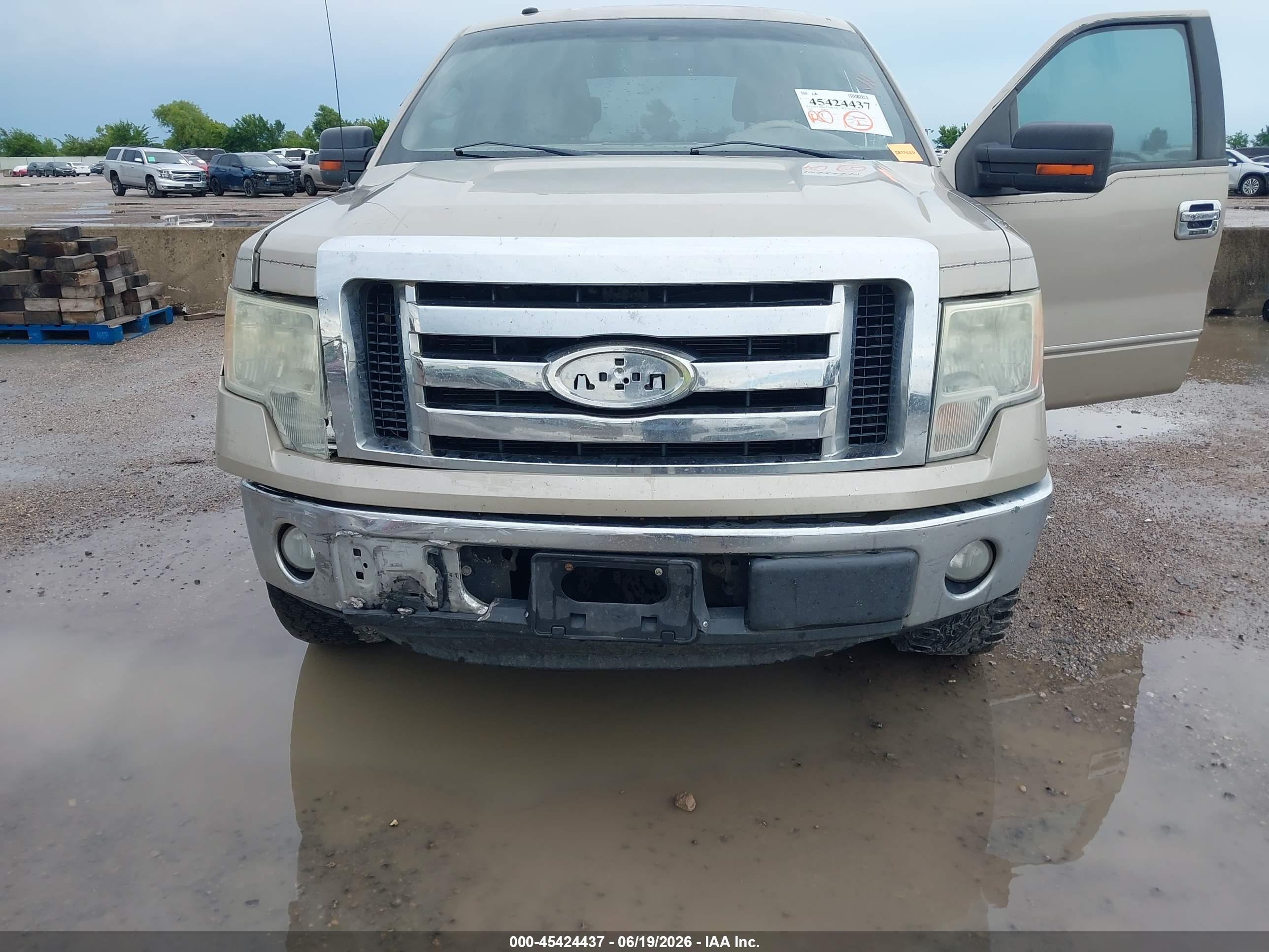 2009 Ford F-150 Xl/xlt Beige vin: 1FTRW12809FA12061