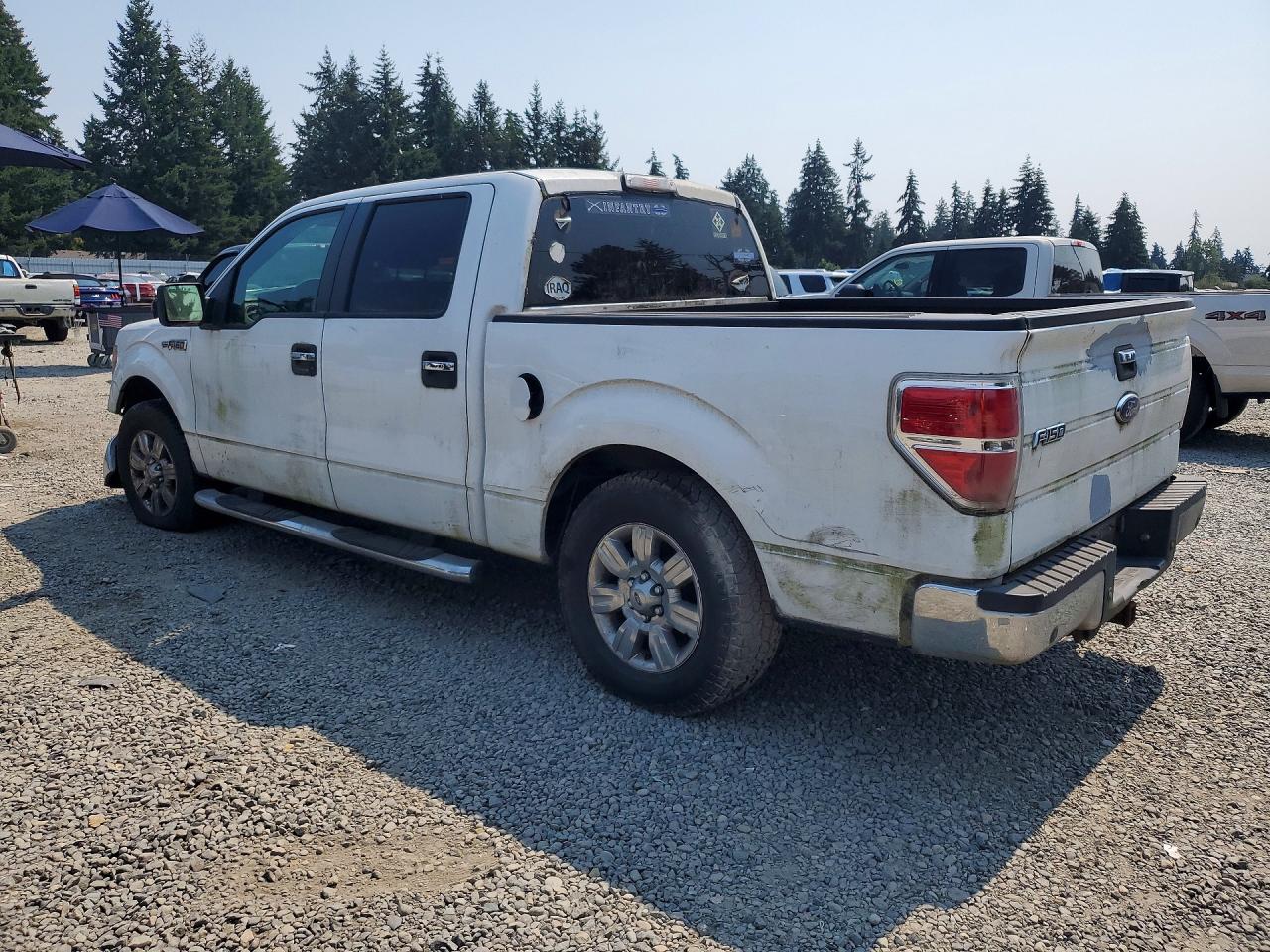 2009 Ford F150 Supercrew White vin: 1FTRW12839KC79069