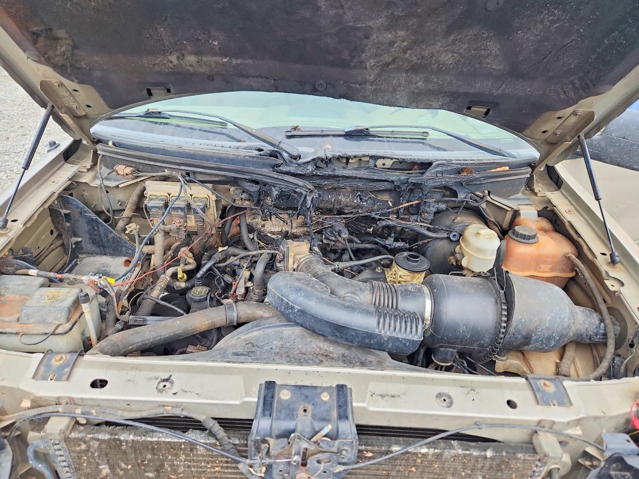 2007 Ford F150 Supercrew Gold vin: 1FTRW12W77KC88580