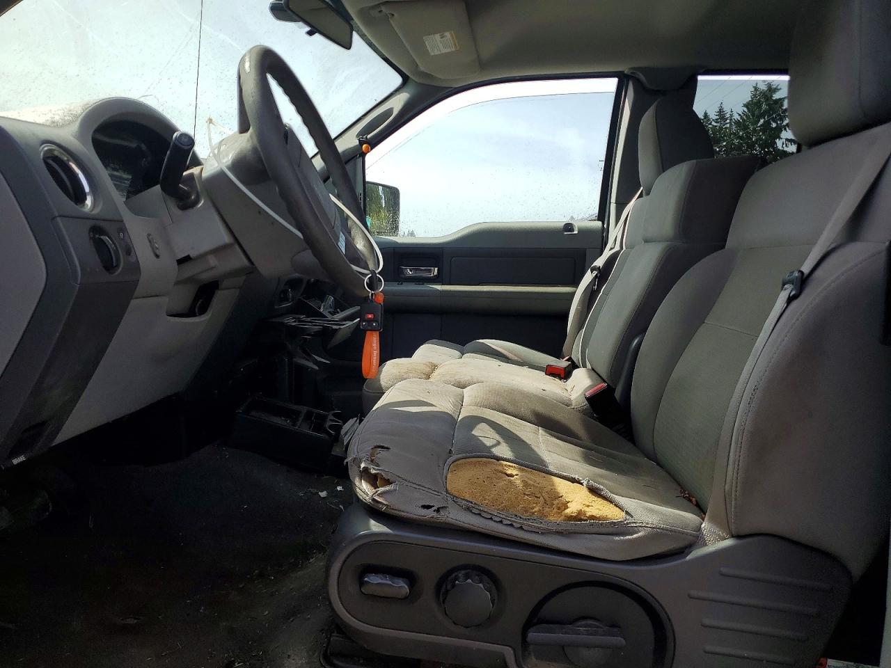 2005 Ford F-150 Silver vin: 1FTRX12565FA34823
