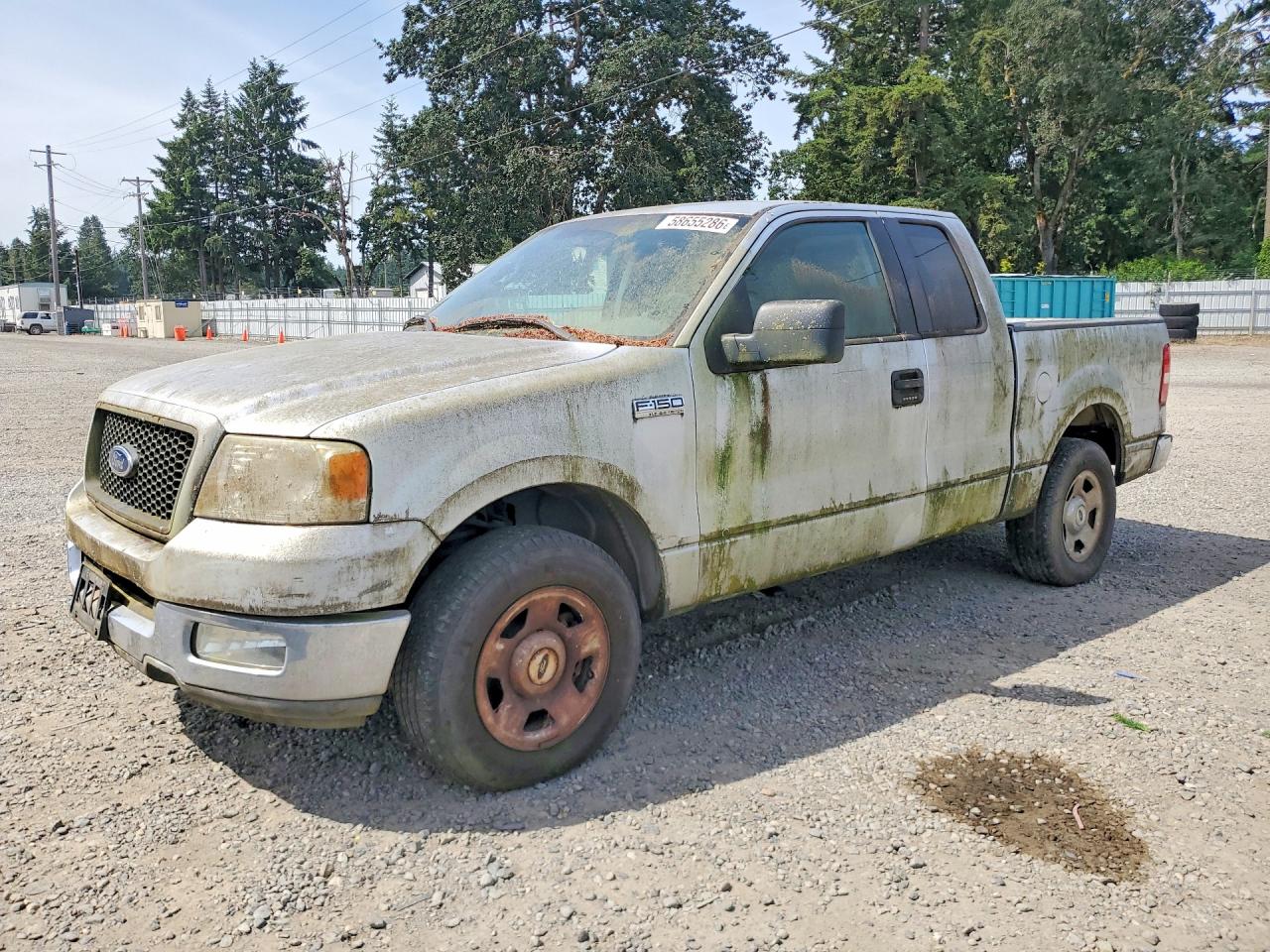 2005 Ford F-150 Silver vin: 1FTRX12565FA34823