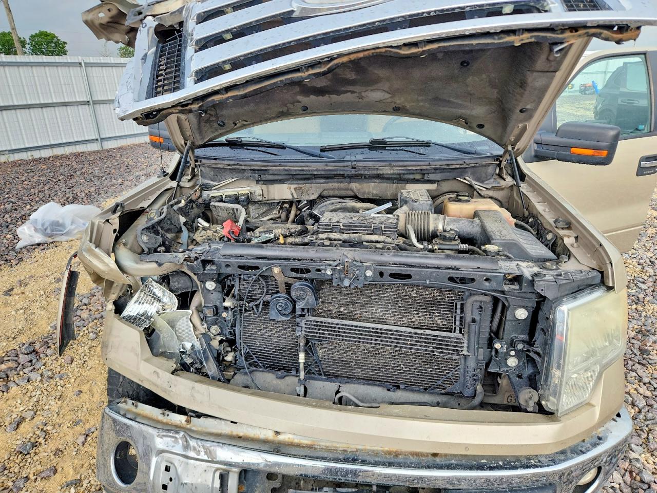 2009 Ford F150 Super Cab Золотой vin: 1FTRX12819KC78886