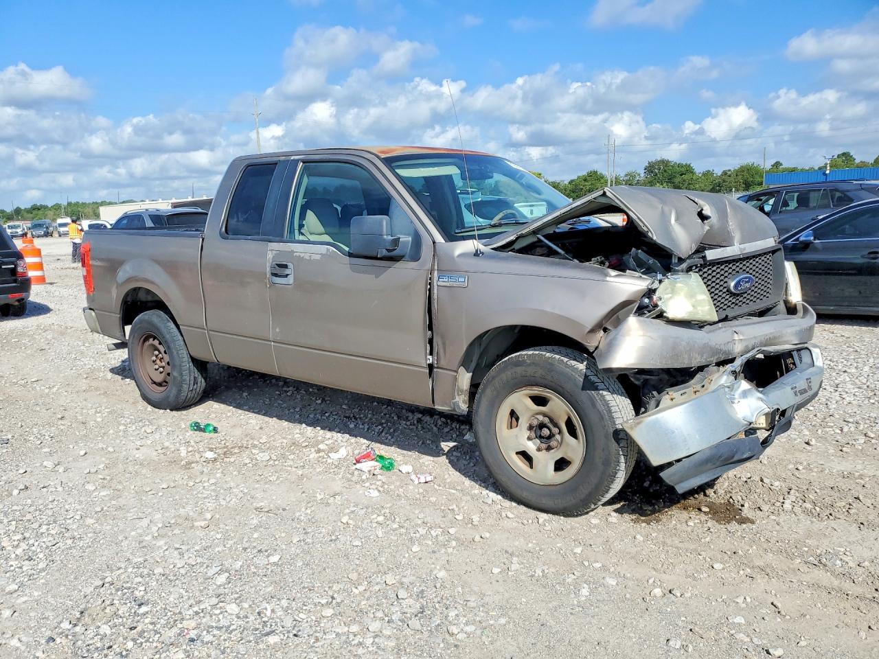 2005 Ford F150 Tan vin: 1FTRX12W05KD71049