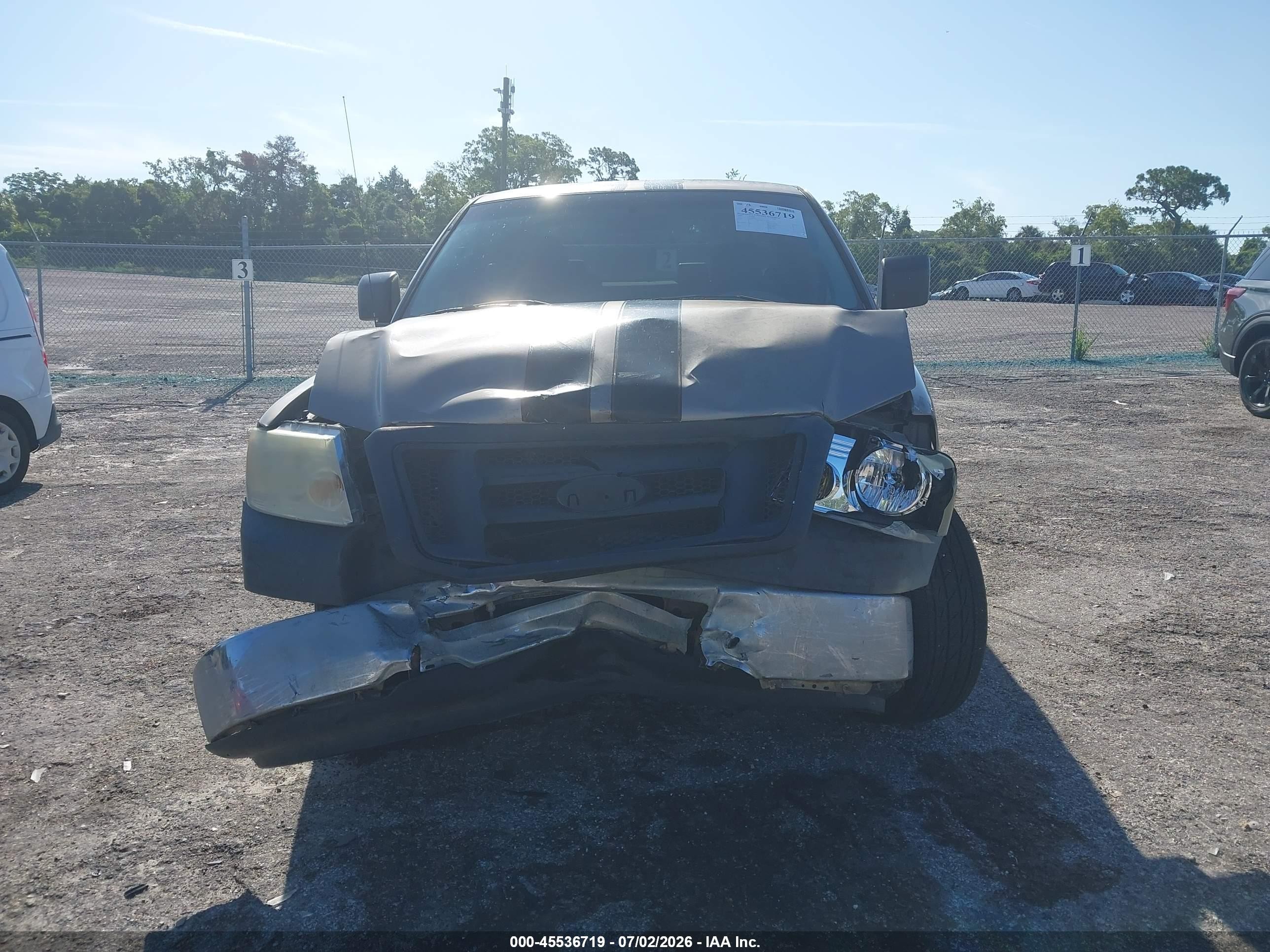 2006 Ford F-150 Stx/xl/xlt Beige vin: 1FTRX12W66FB09840