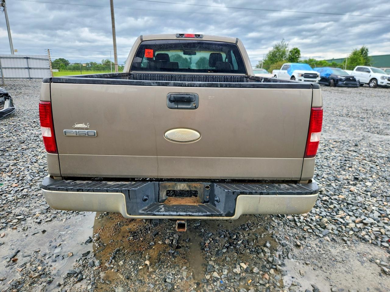 2006 Ford F150 Tan vin: 1FTRX12W86NA53602