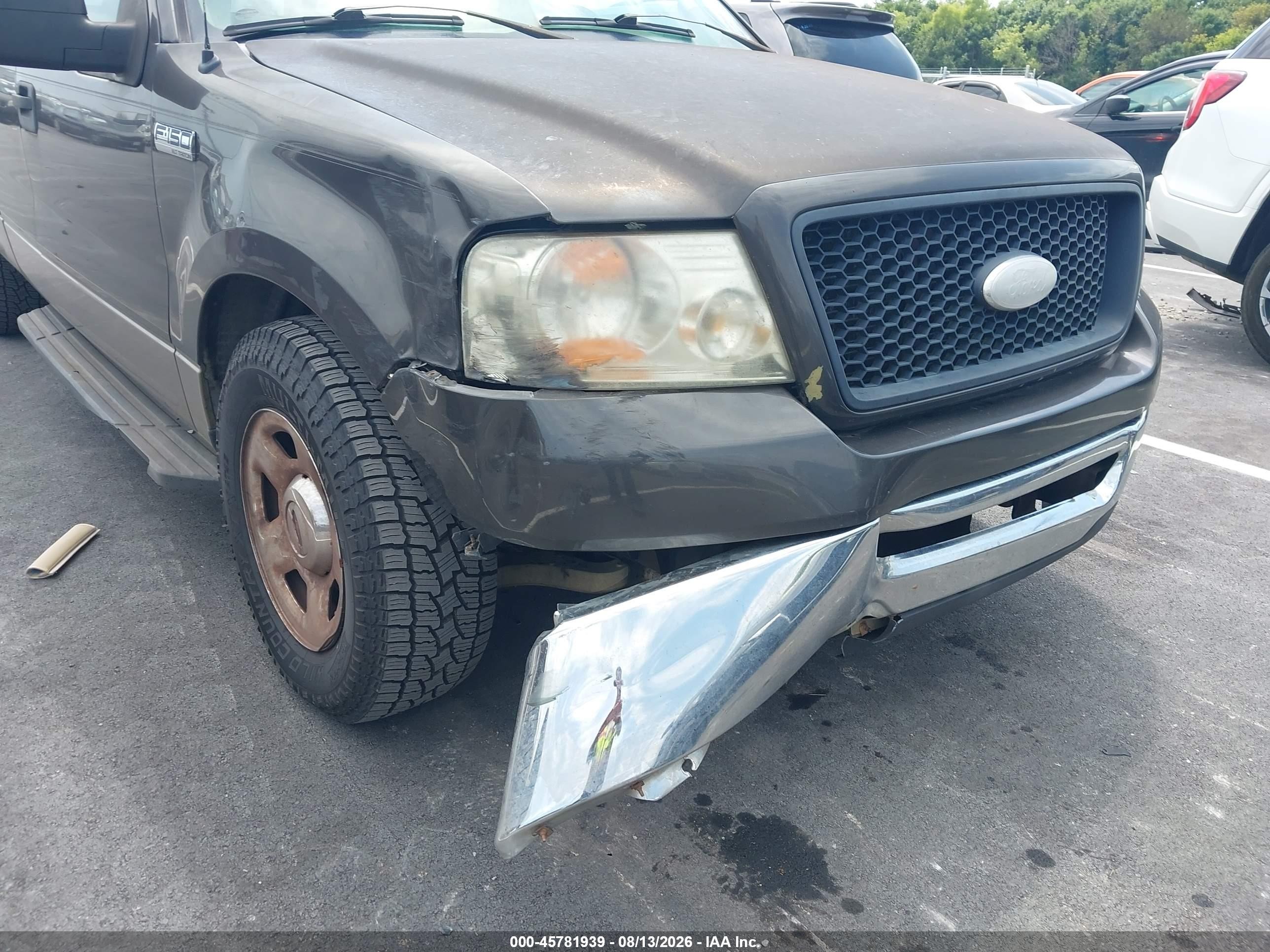 2006 Ford F-150 Stx/xl/xlt Серый vin: 1FTRX12W96NA21175