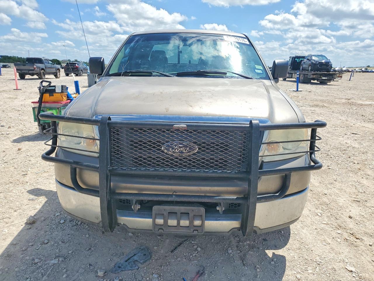 2004 Ford F150 Gold vin: 1FTRX12WX4NB11285
