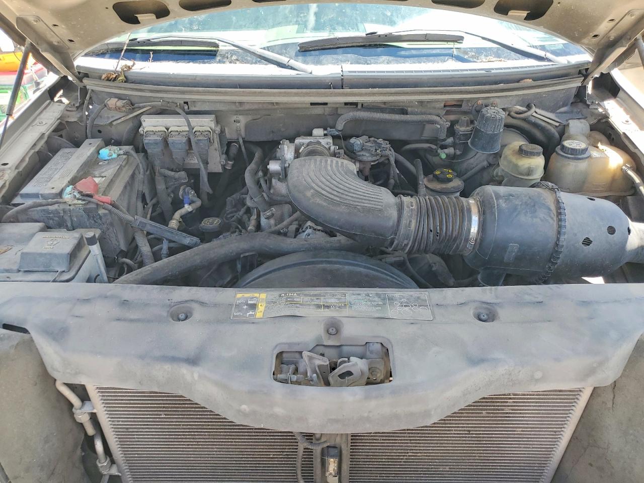 2004 Ford F150 Gold vin: 1FTRX12WX4NB11285