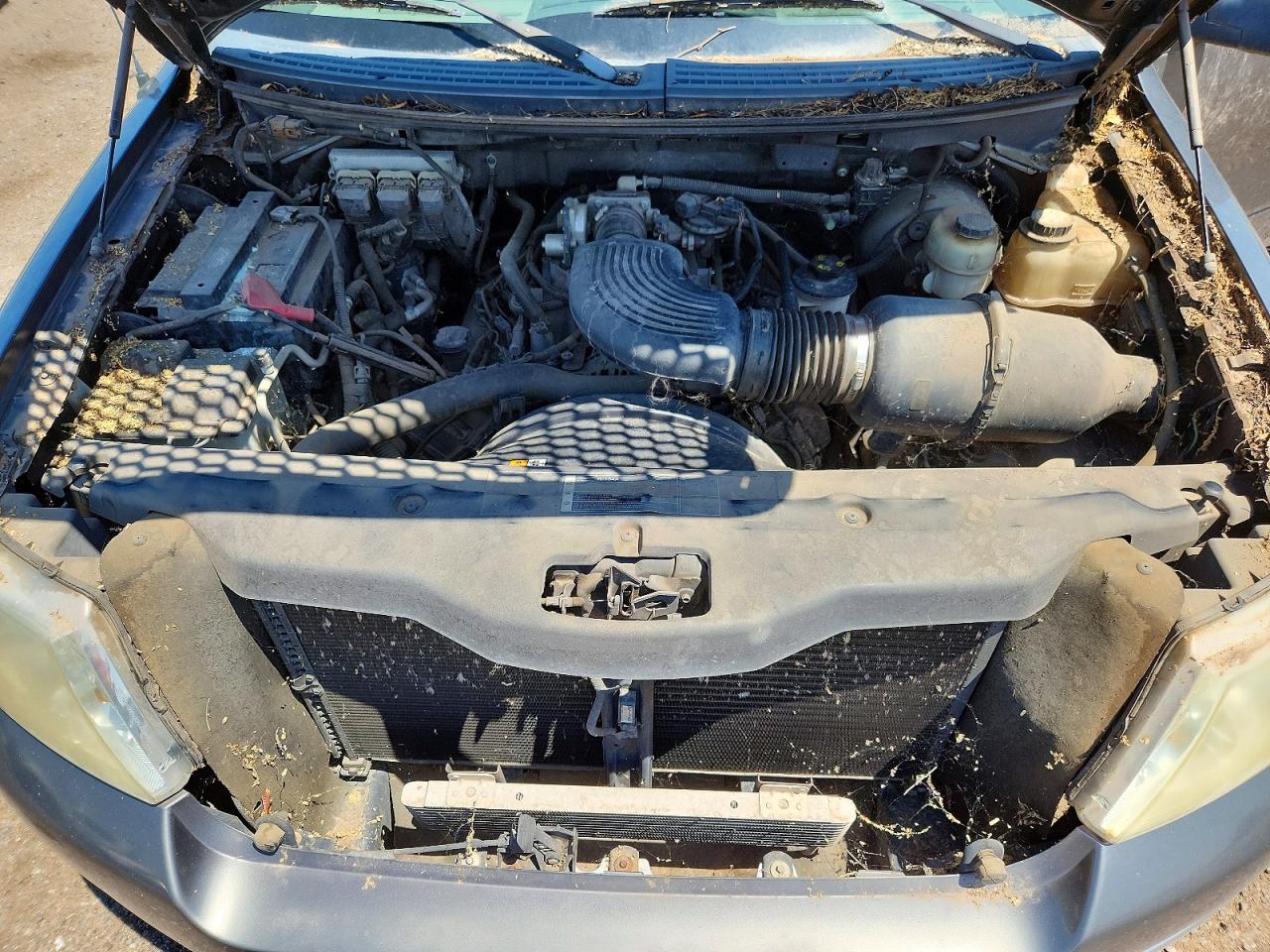 2005 Ford F150 Charcoal vin: 1FTRX12WX5NB54350
