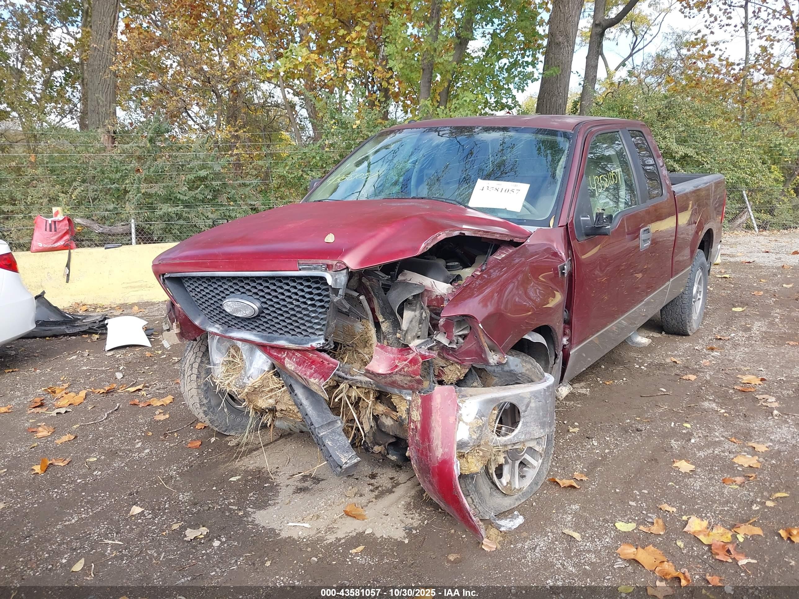 2006 Ford F-150 Stx/xl/xlt Red vin: 1FTRX14W76NA70369