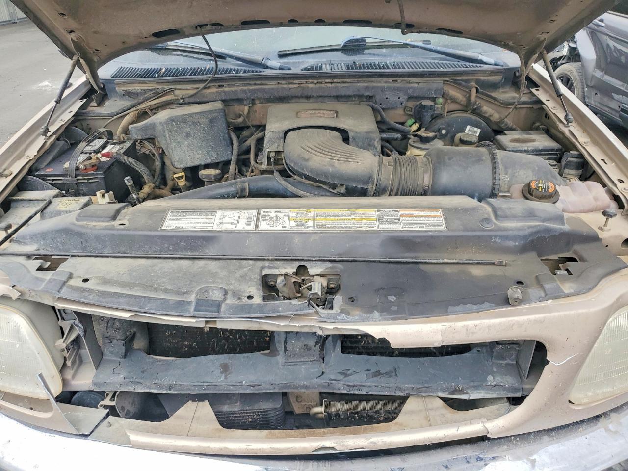 1998 Ford F150 Tan vin: 1FTRX17L1WKB78165