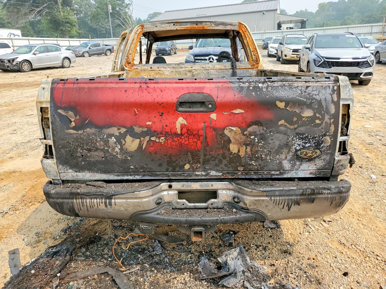1999 Ford F150 Burn vin: 1FTRX17L4XNA38188