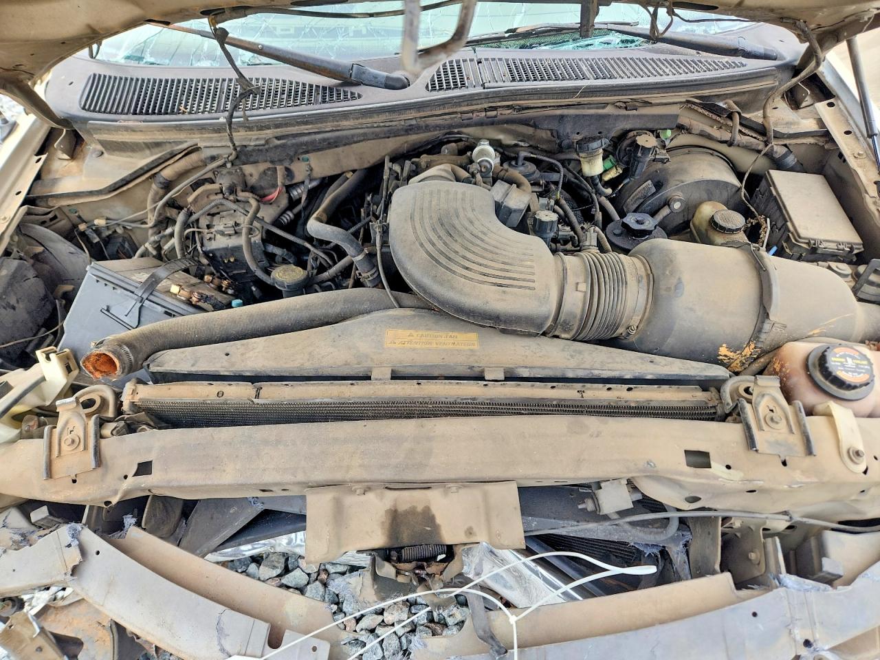 2000 Ford F150 Tan vin: 1FTRX17W6YNC22706