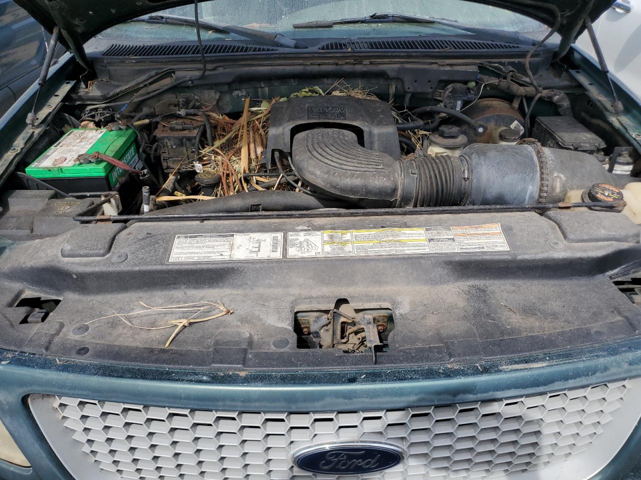 1999 Ford F150 Зеленый vin: 1FTRX18L9XNB93317