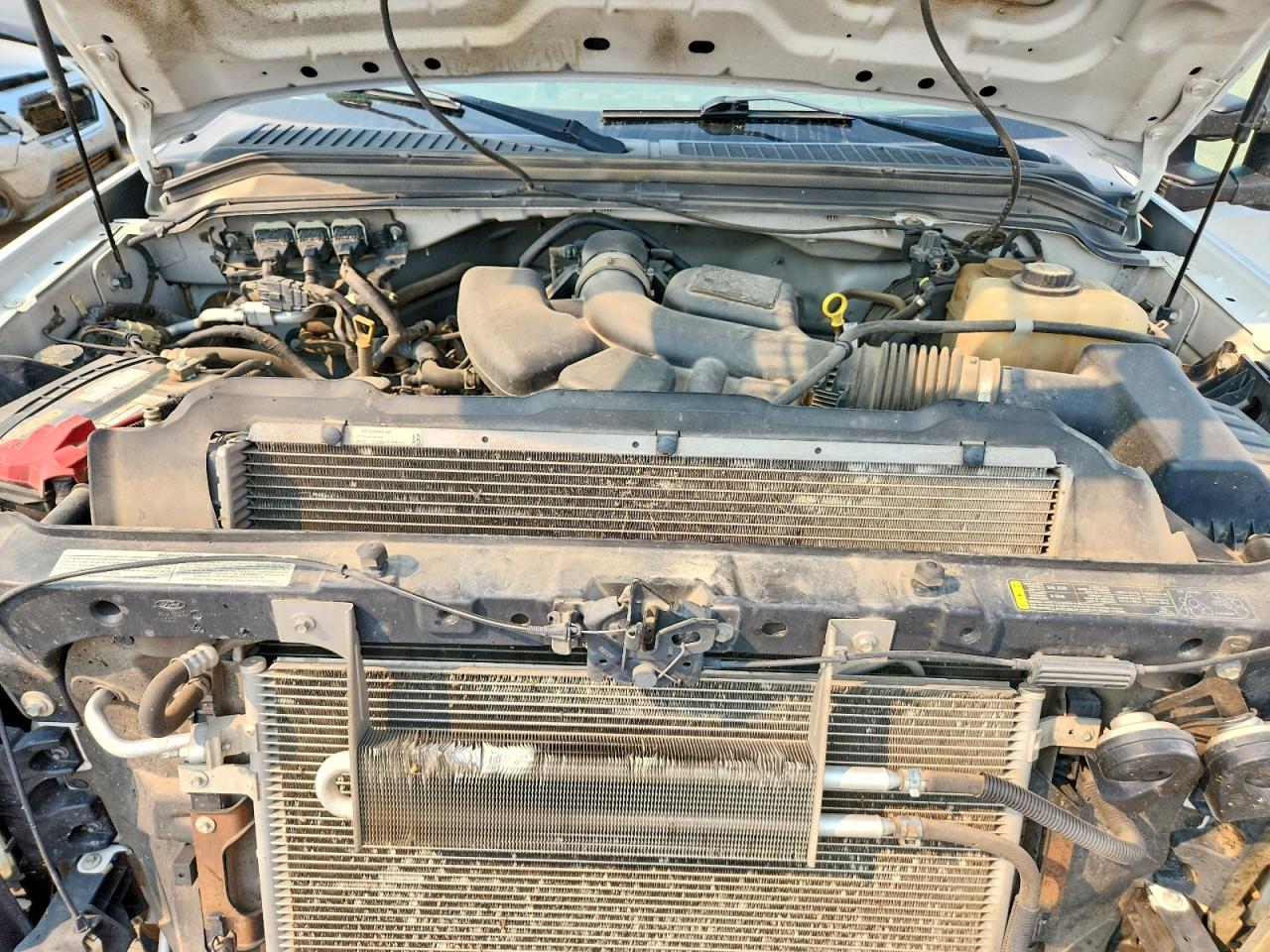 2008 Ford F250 Super Duty White vin: 1FTSW21588ED45546