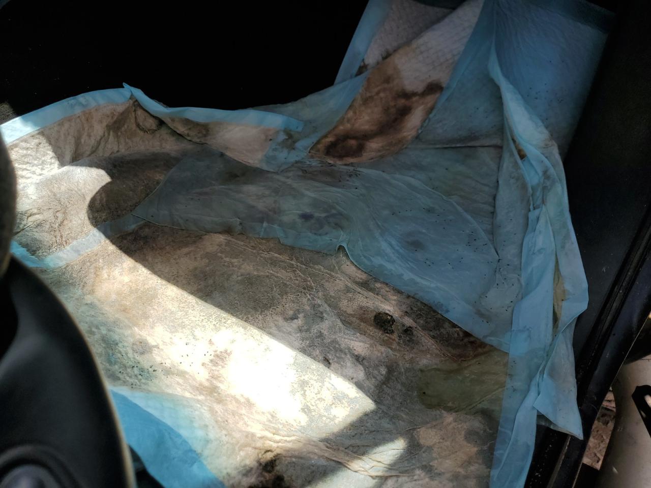 2005 Ford F250 Super Duty Blue vin: 1FTSW21P65EB66337 Damage: Right Front Carpet, Stained, Permanent