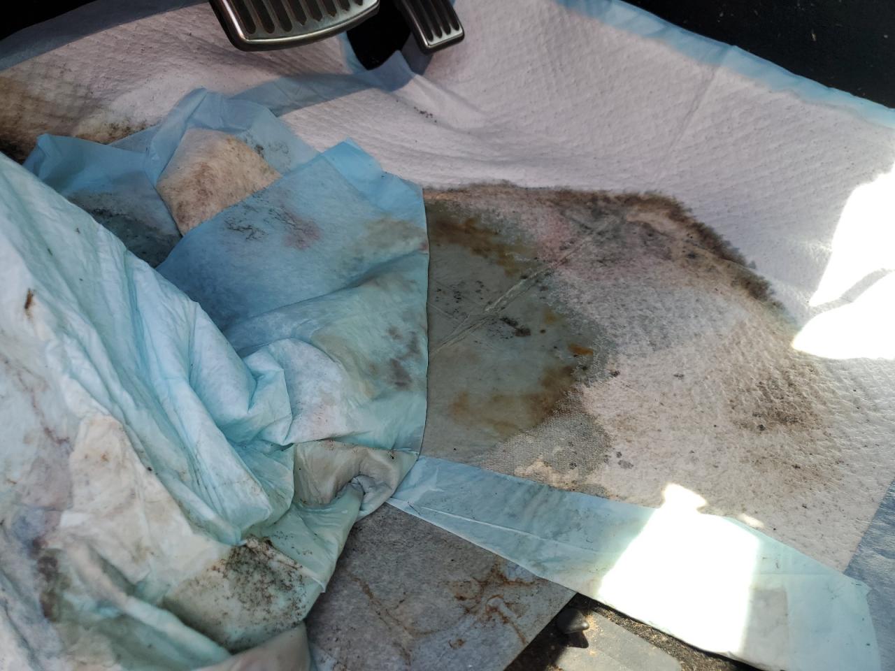 2005 Ford F250 Super Duty Blue vin: 1FTSW21P65EB66337 Damage: Left Front Carpet, Stained, Permanent