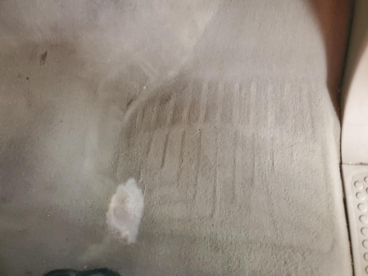 2005 Ford F250 Super Duty Beige vin: 1FTSW21P95EB20761 Damage: Right Front Carpet, Worn, Acceptable