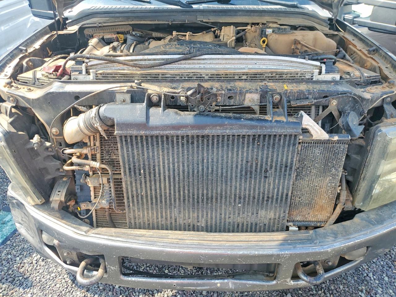 2008 Ford F250 Super Duty Серый vin: 1FTSW21R28EB33180