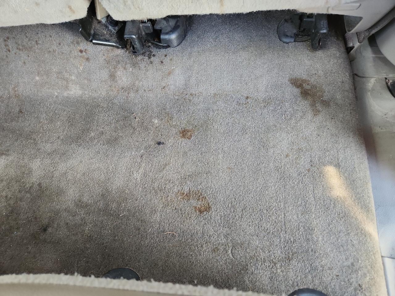 2010 Ford F250 Super Duty Gray vin: 1FTSW2B51AEA18765 Damage: Right Rear Carpet, Stained, Permanent