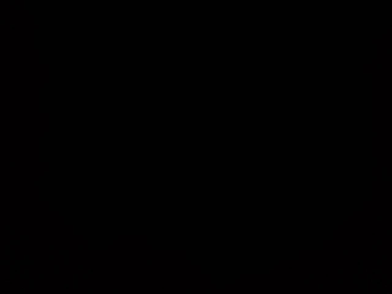 1FTSW30L64EC87873