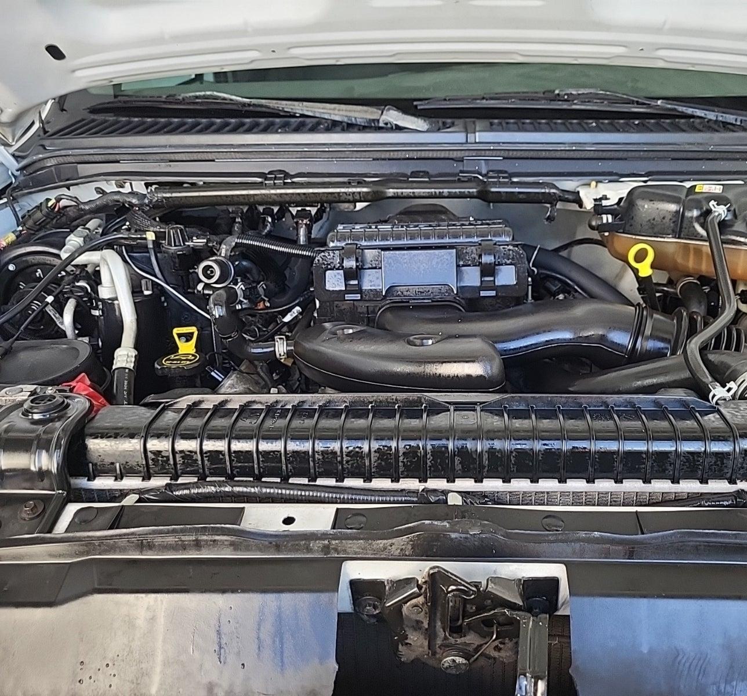 2005 Ford Super Duty F-250 Lariat/xl/xlt vin: 1FTSX20545EB22186