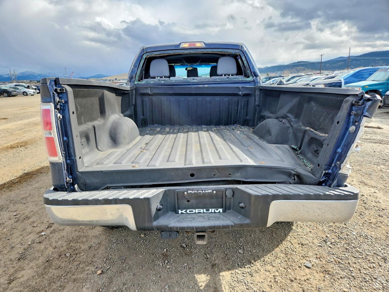 2013 Ford F150 Supercrew Синий vin: 1FTVW1ET5DKE18450