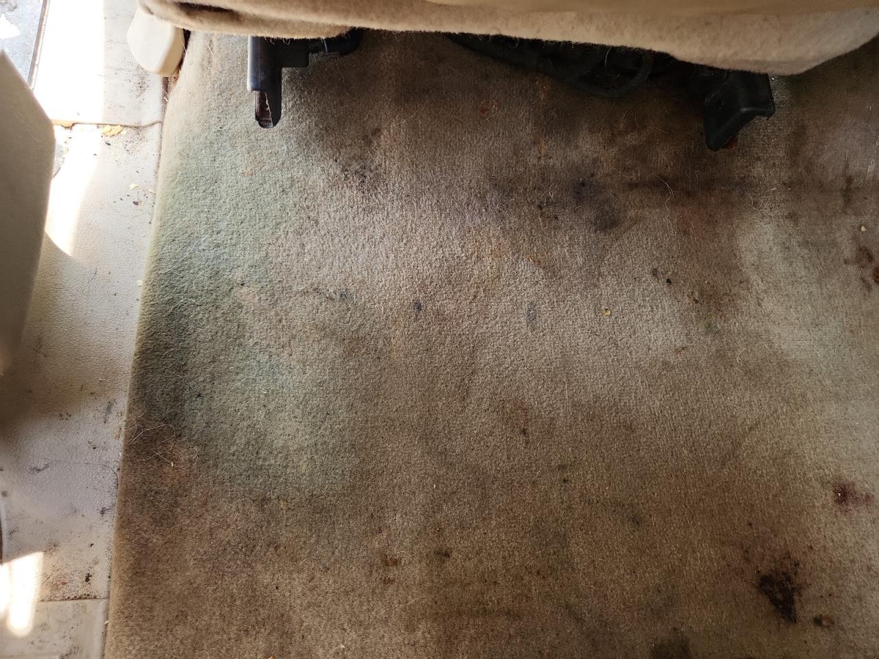 2008 Ford F350 Srw Super Duty White vin: 1FTWW31R58ED74299 Damage: Left Rear Carpet, Stained, Permanent