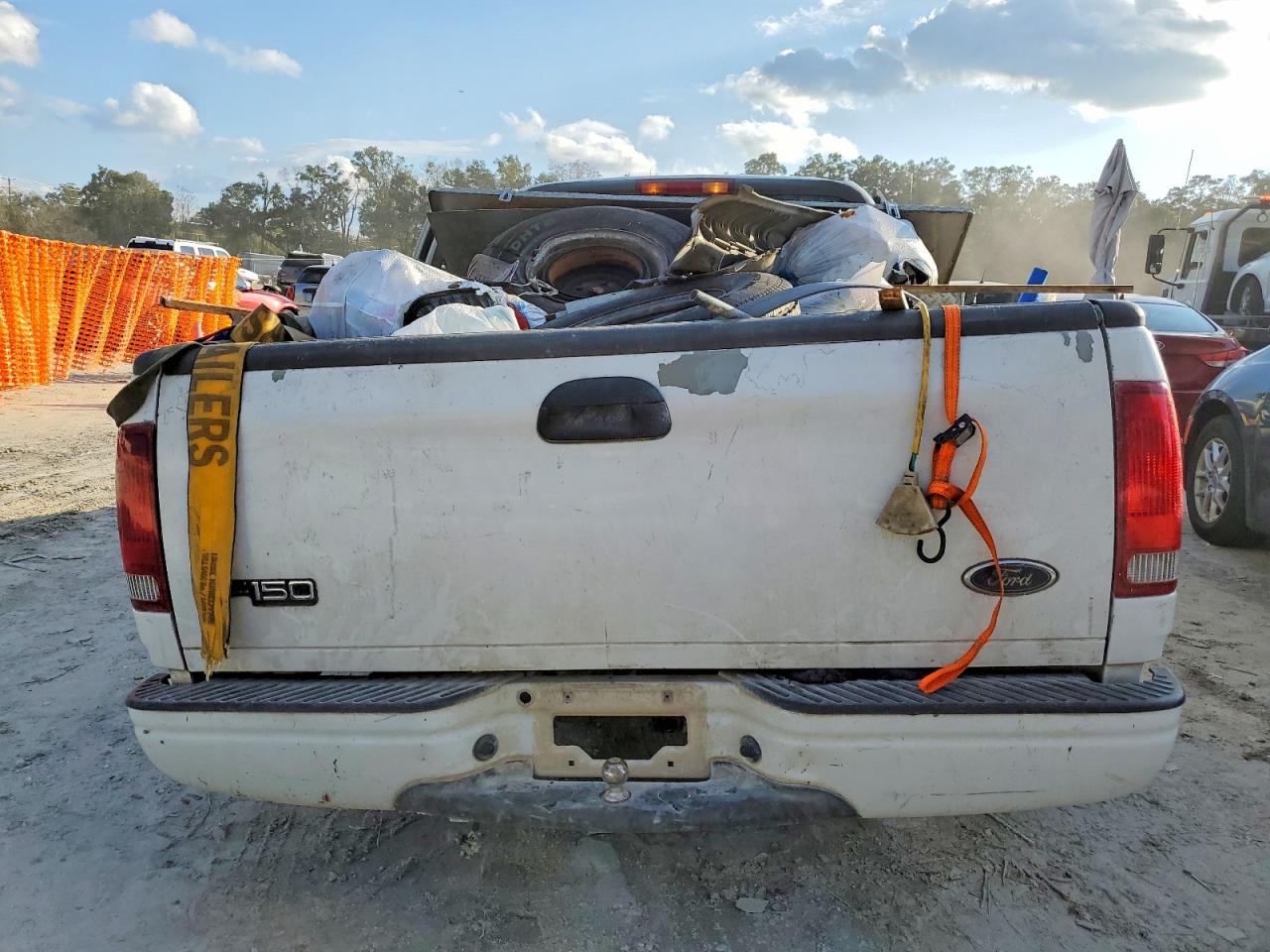 2000 Ford F150 White vin: 1FTZF1723YNA02133