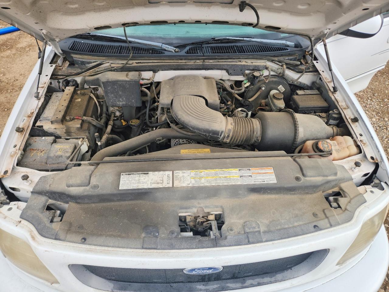 1998 Ford F150 White vin: 1FTZX18W9WKB11516
