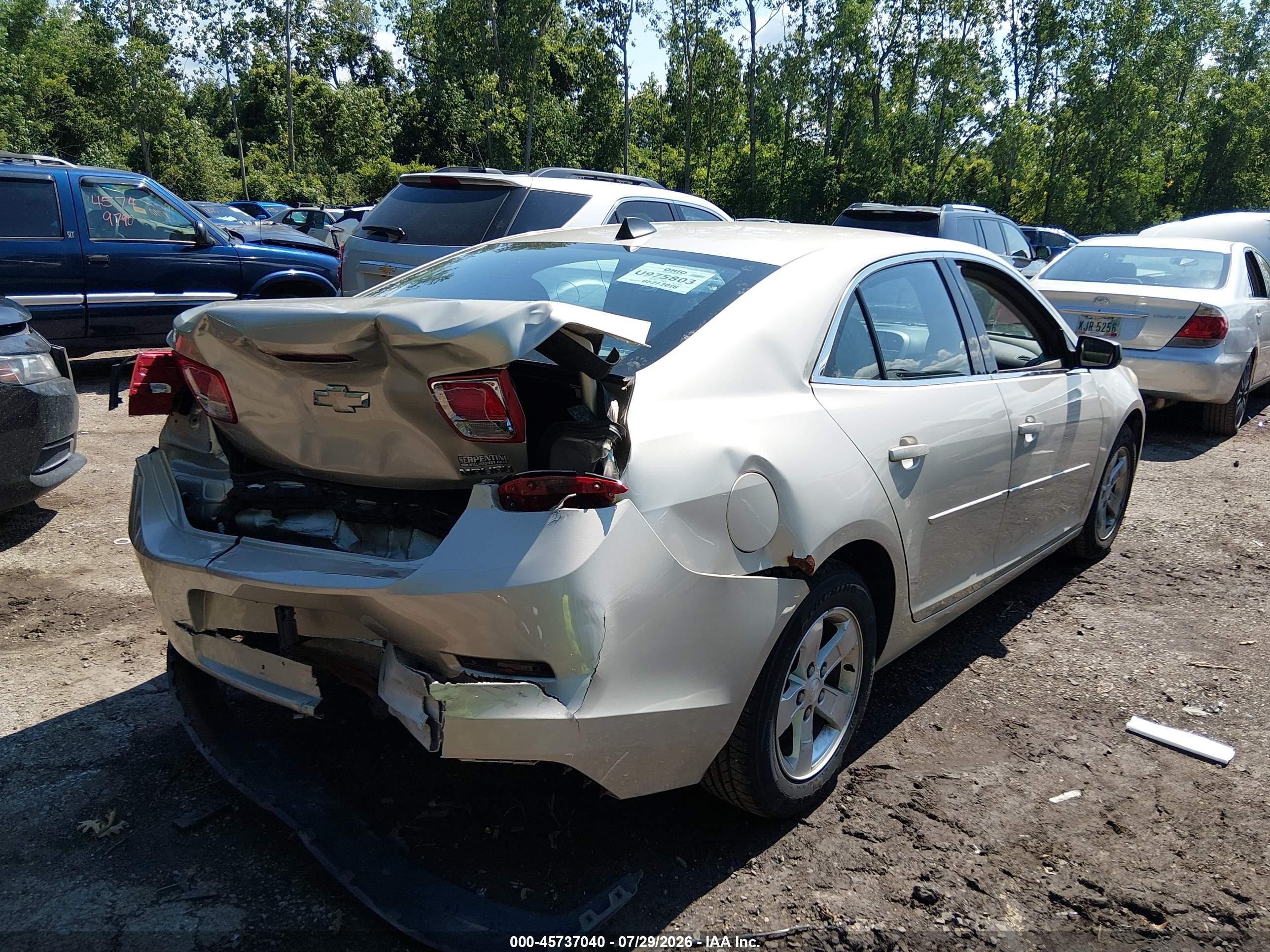 2013 Chevrolet Malibu 1fl Gold vin: 1G11A5SA4DF318204