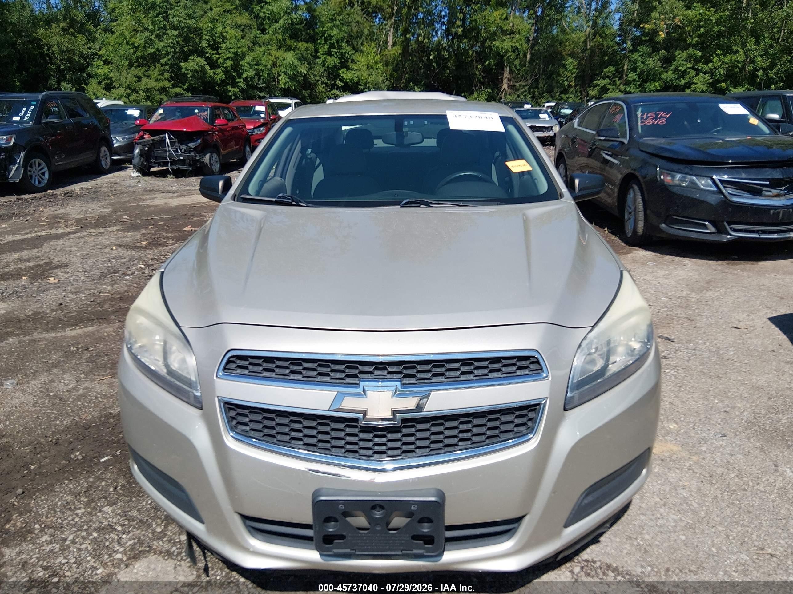 2013 Chevrolet Malibu 1fl Gold vin: 1G11A5SA4DF318204