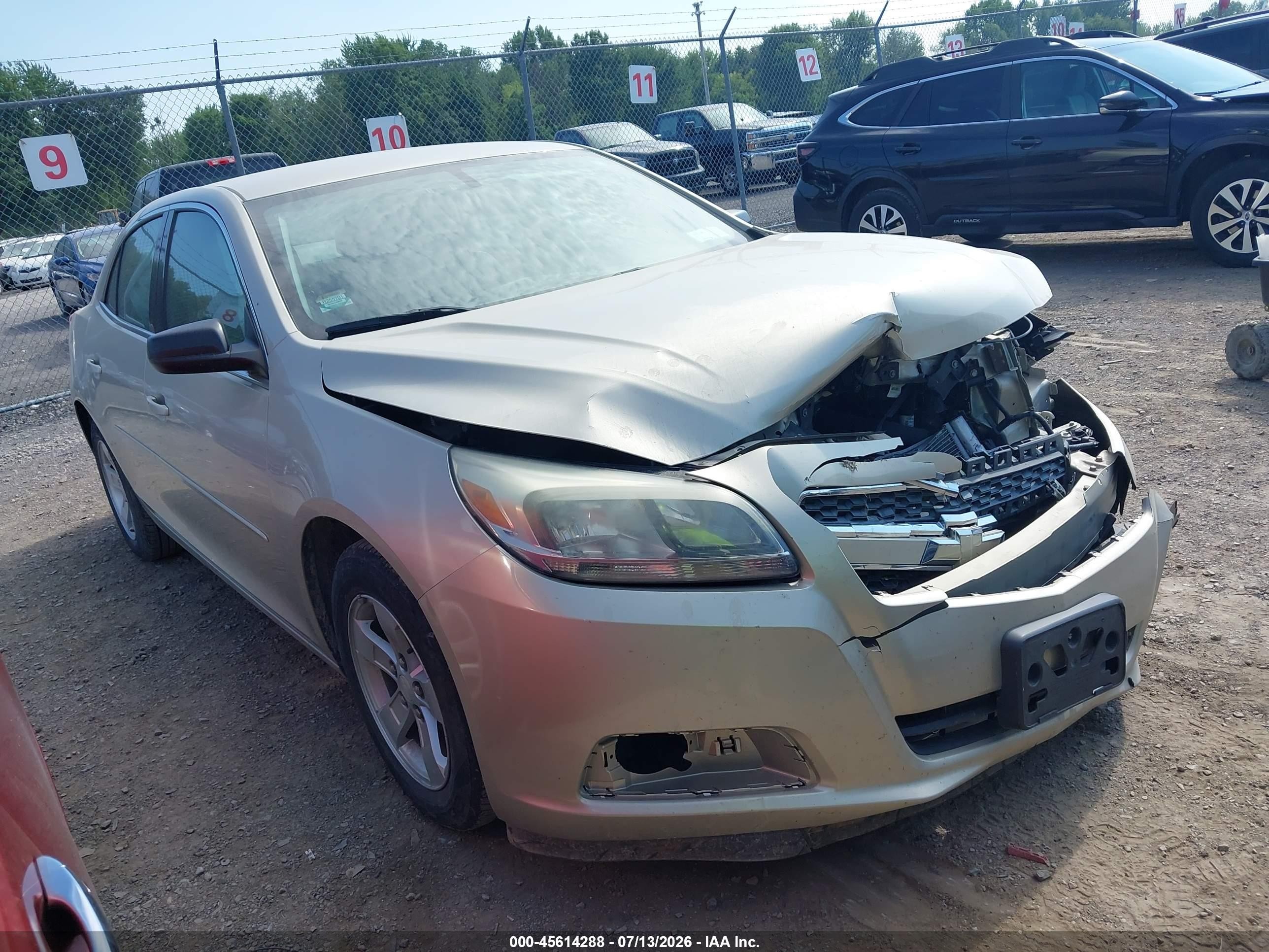 2013 Chevrolet Malibu 1fl Champagne vin: 1G11A5SA6DF313716