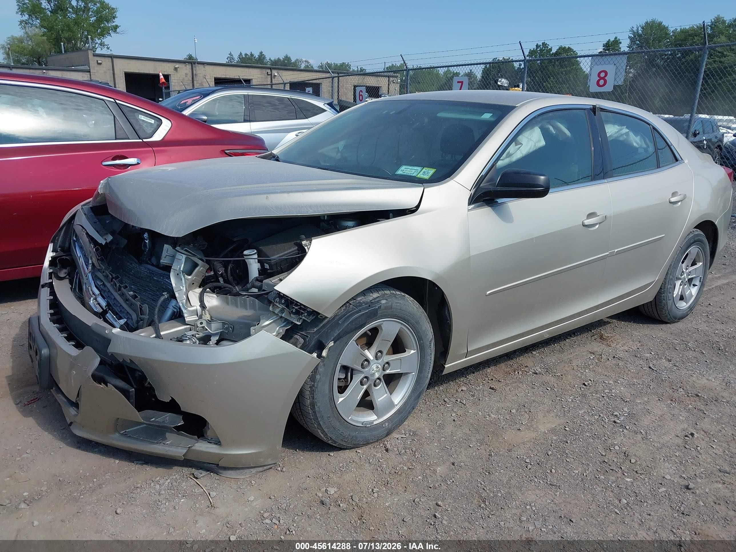 2013 Chevrolet Malibu 1fl Champagne vin: 1G11A5SA6DF313716