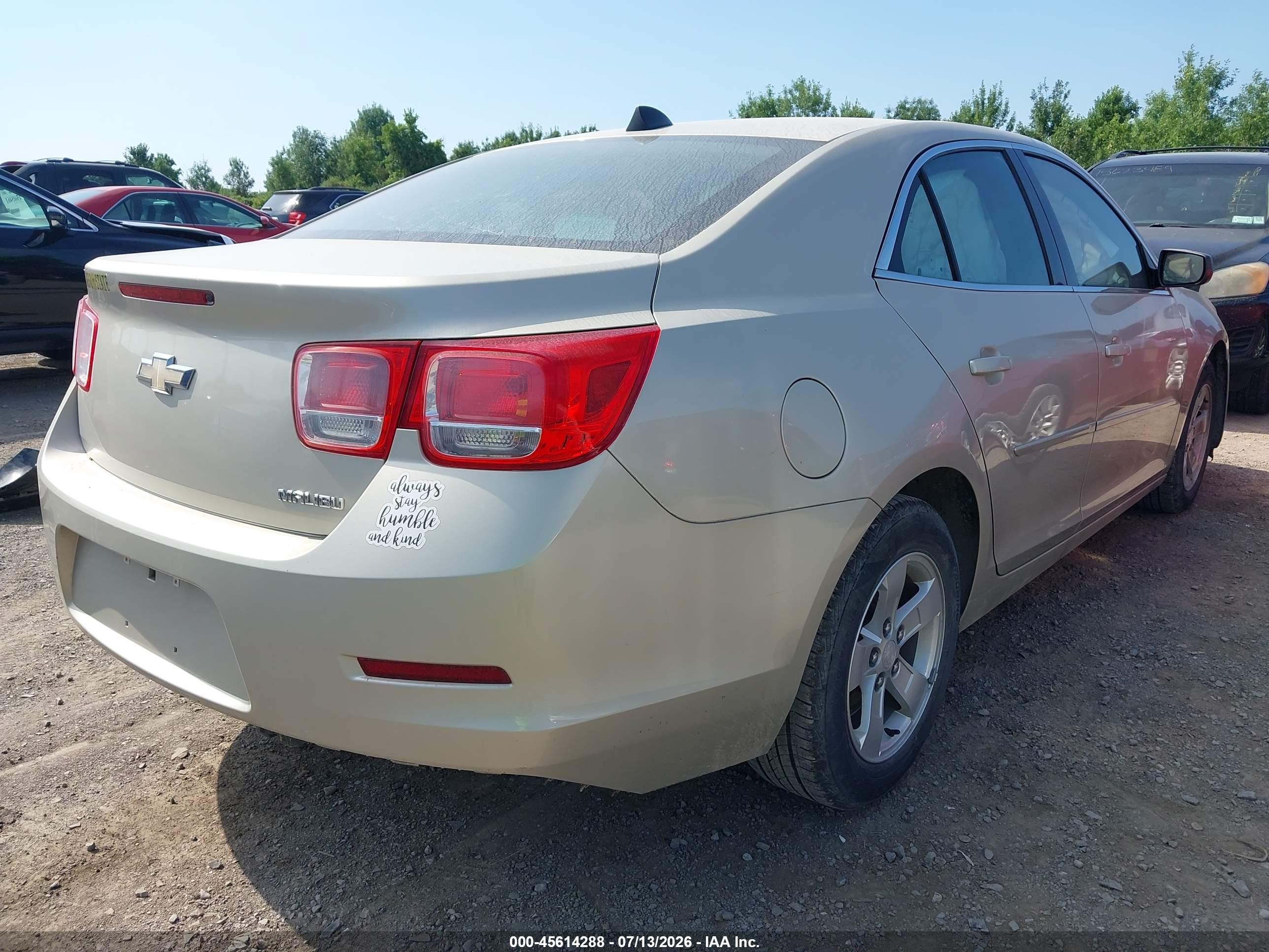 2013 Chevrolet Malibu 1fl Champagne vin: 1G11A5SA6DF313716