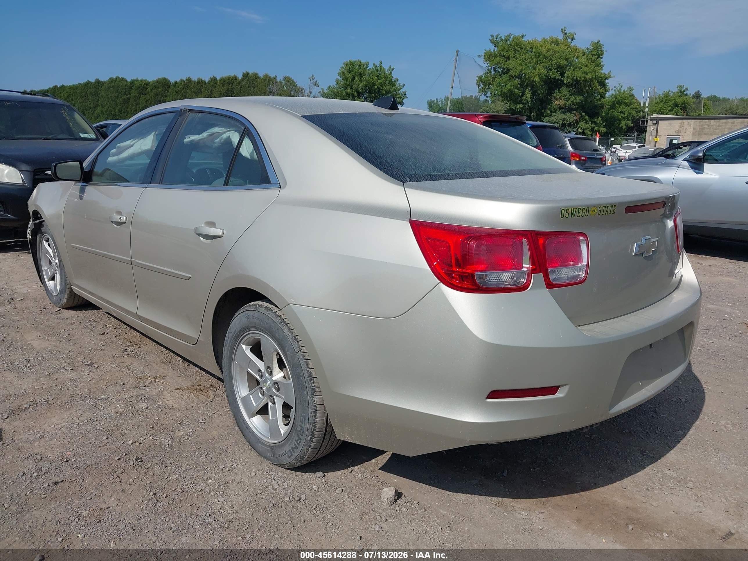 2013 Chevrolet Malibu 1fl Champagne vin: 1G11A5SA6DF313716