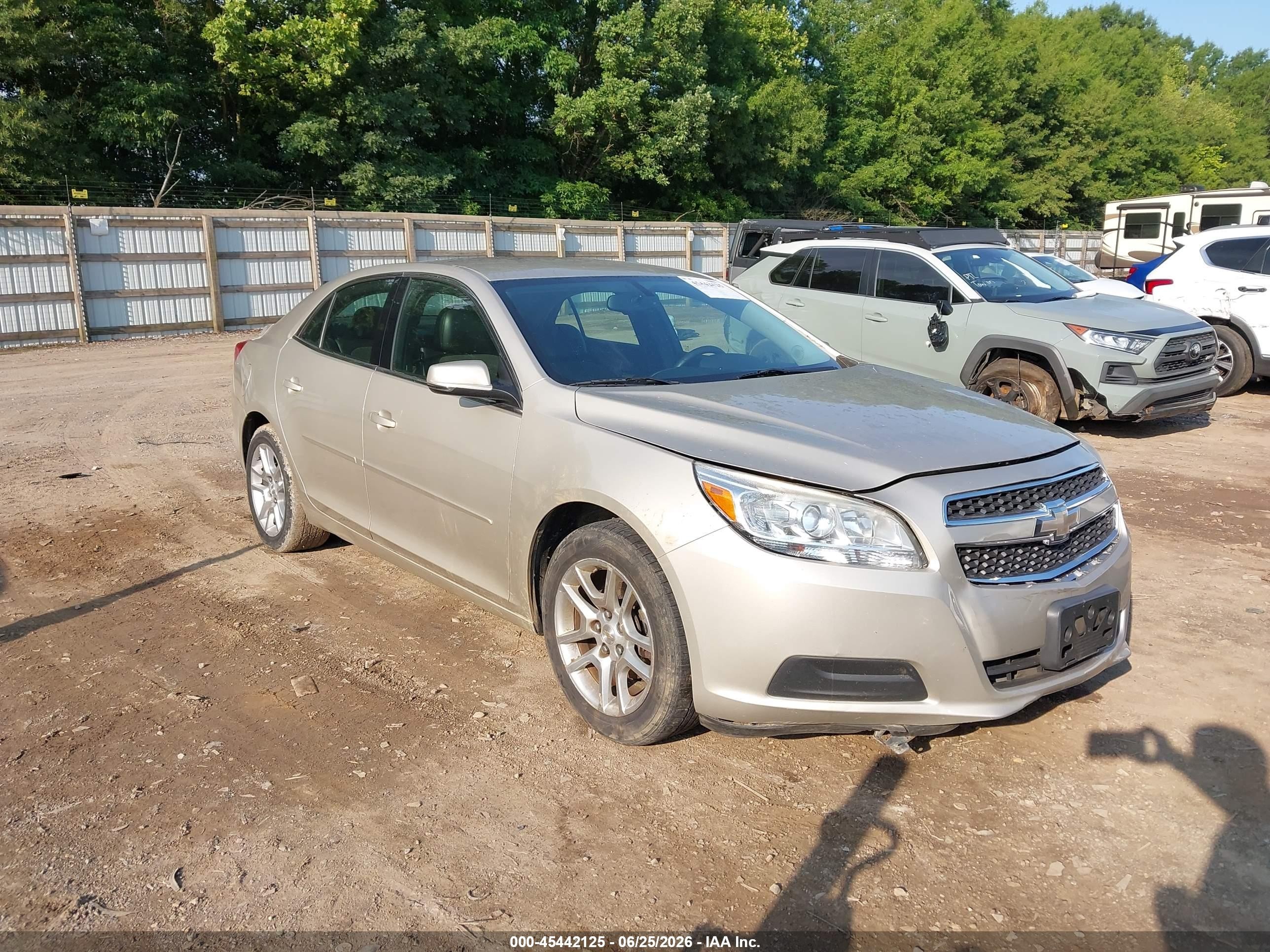 2013 Chevrolet Malibu 1lt Gold vin: 1G11C5SA8DF343553