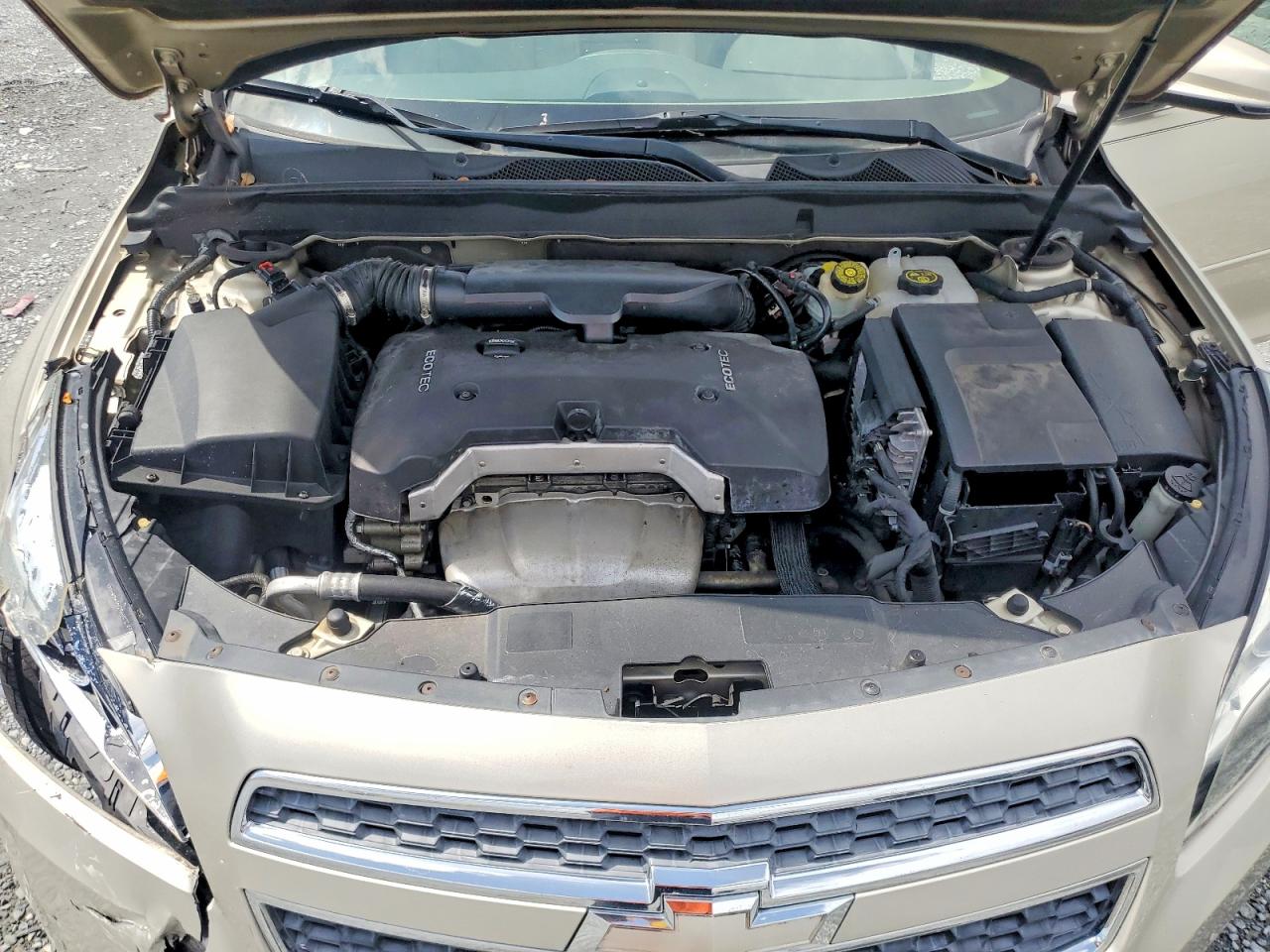 2013 Chevrolet Malibu 1lt Tan vin: 1G11C5SA9DF259015