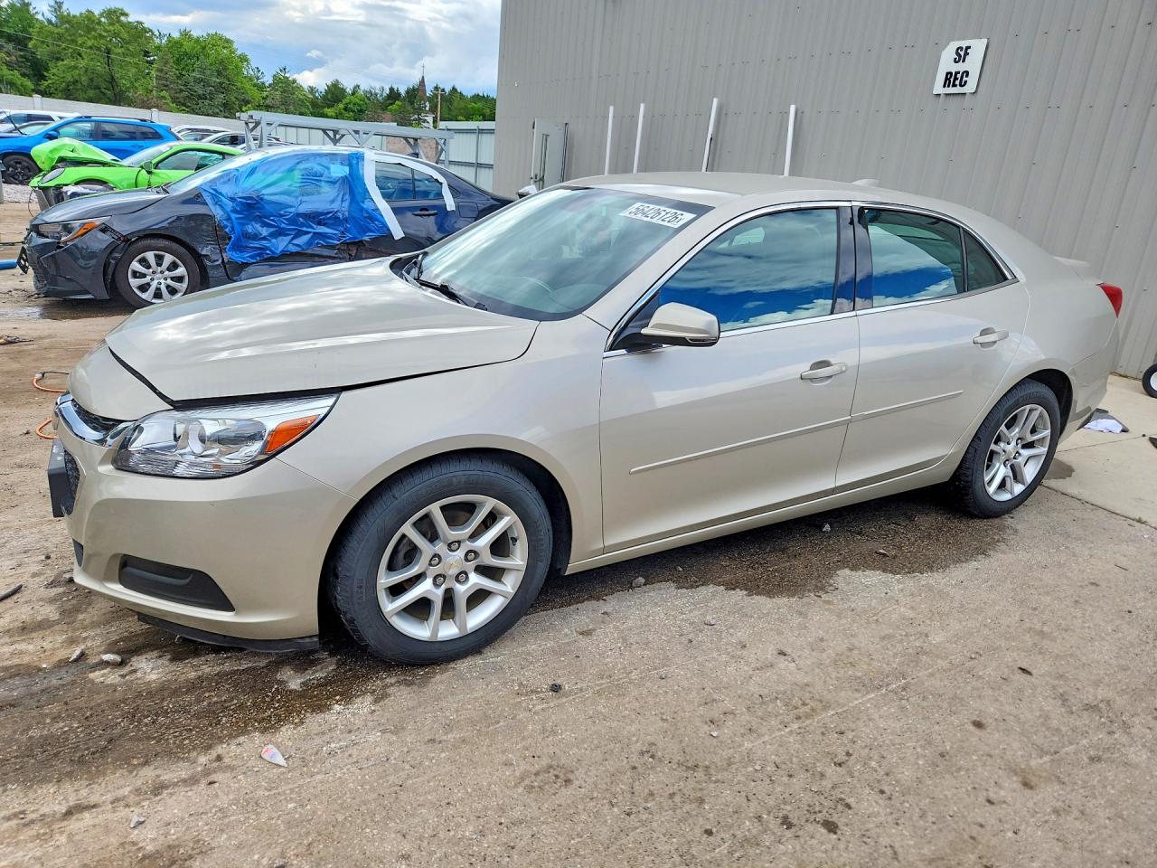 2015 Chevrolet Malibu 1lt Beige vin: 1G11C5SL7FF338848