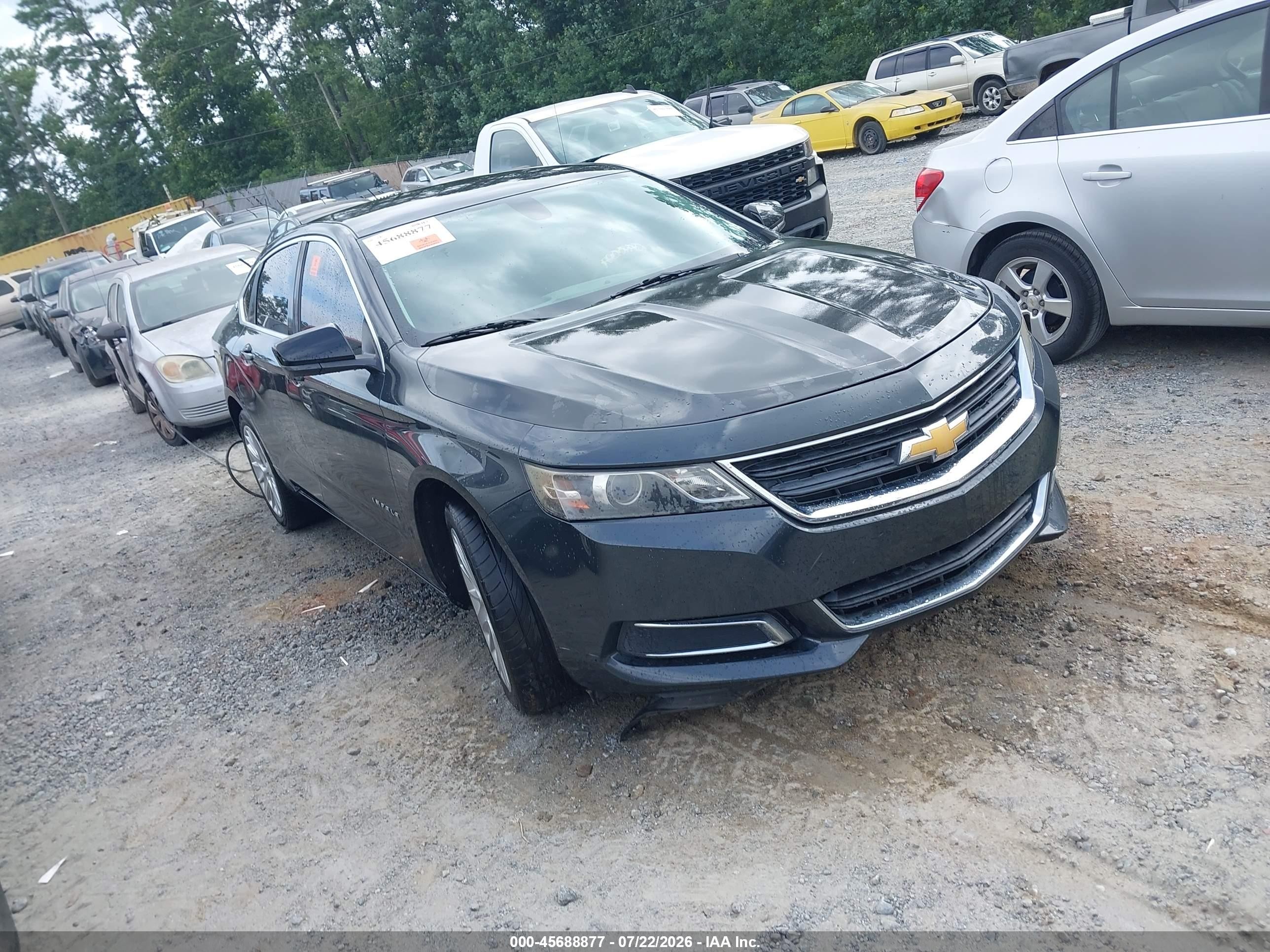 1G11Y5SL6EU141679