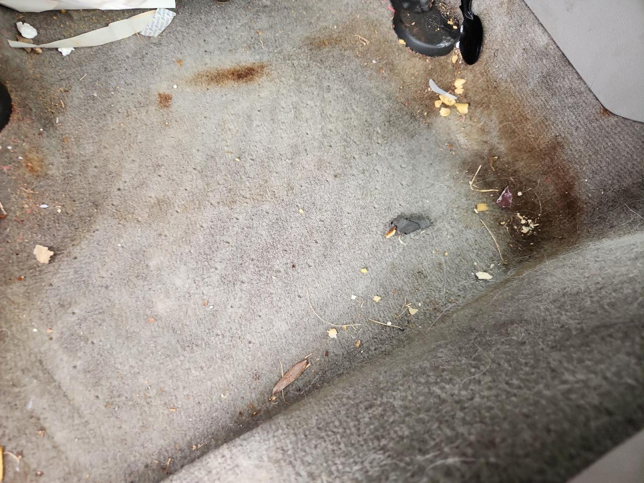2006 Chevrolet Cobalt Ls Белый vin: 1G1AK55F267688410 Damage: Left Rear Carpet, Stained, Permanent