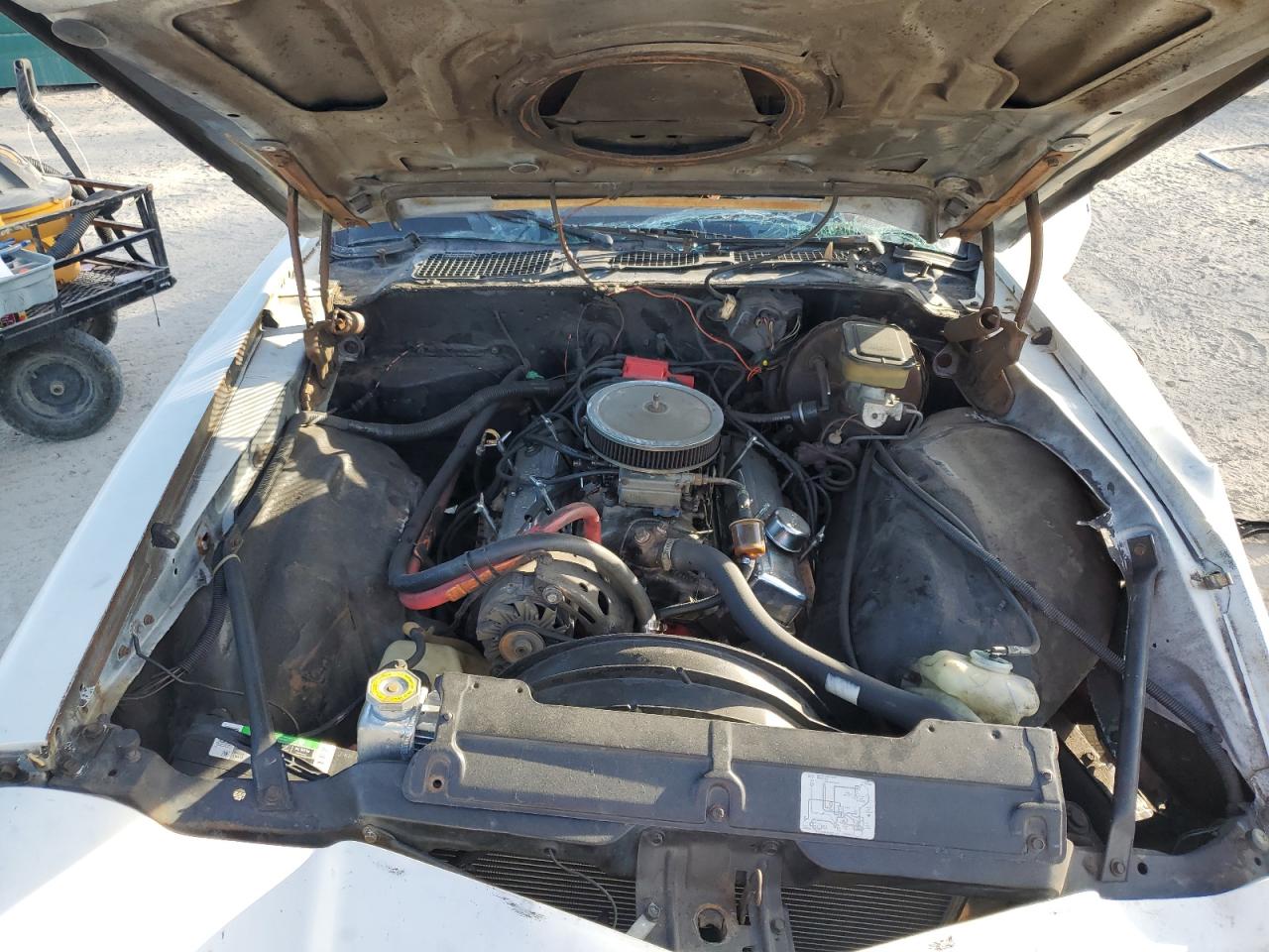 1981 Chevrolet Camaro White vin: 1G1AP87H8BL120939