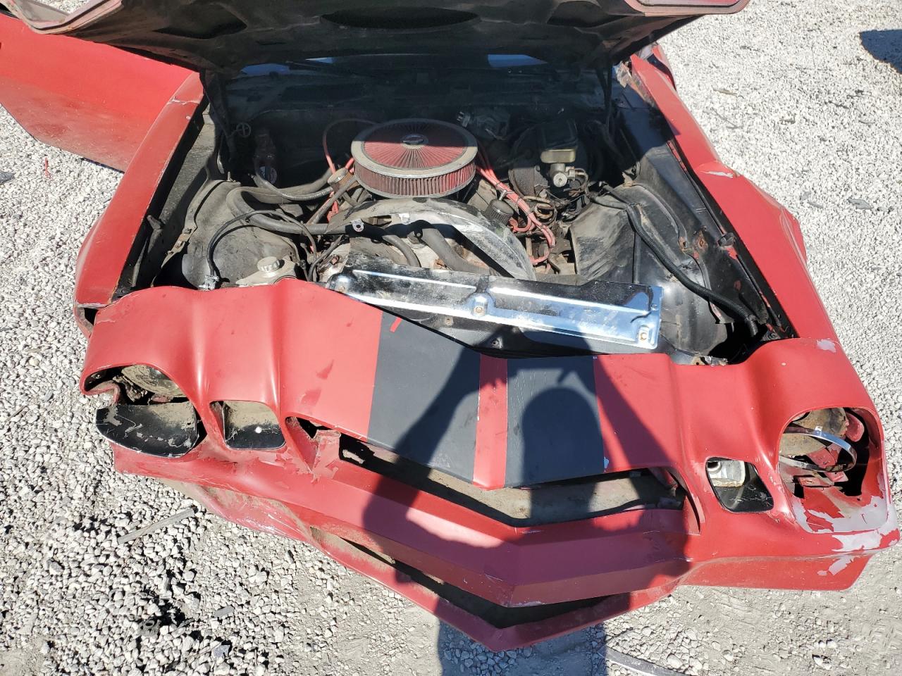 1981 Chevrolet Camaro Red vin: 1G1AP87HXBL169074